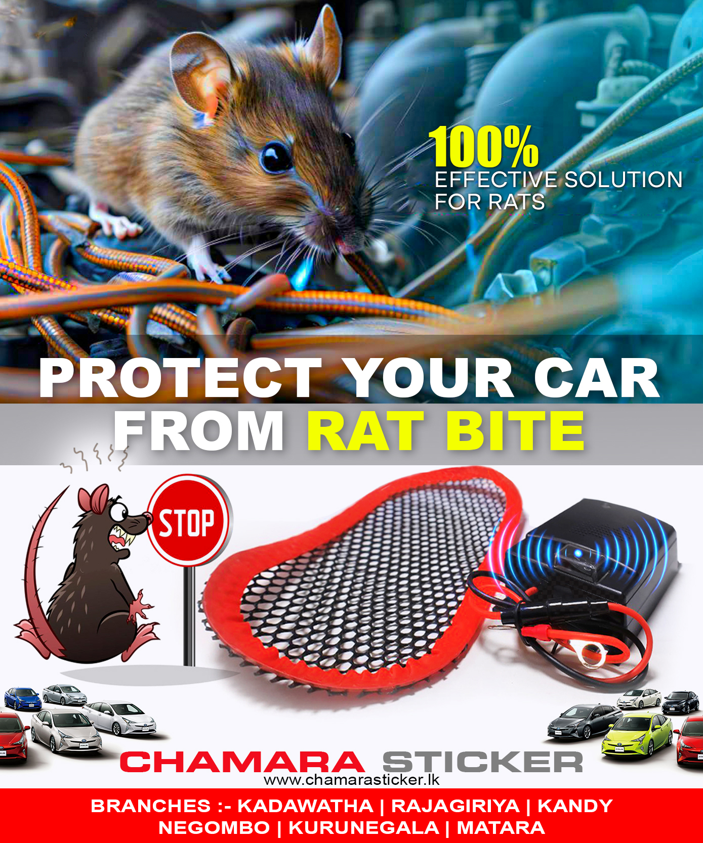 Chamara - 🔰 Effective Solution For Rats 🔴 Rats, rodents, and mice can ...