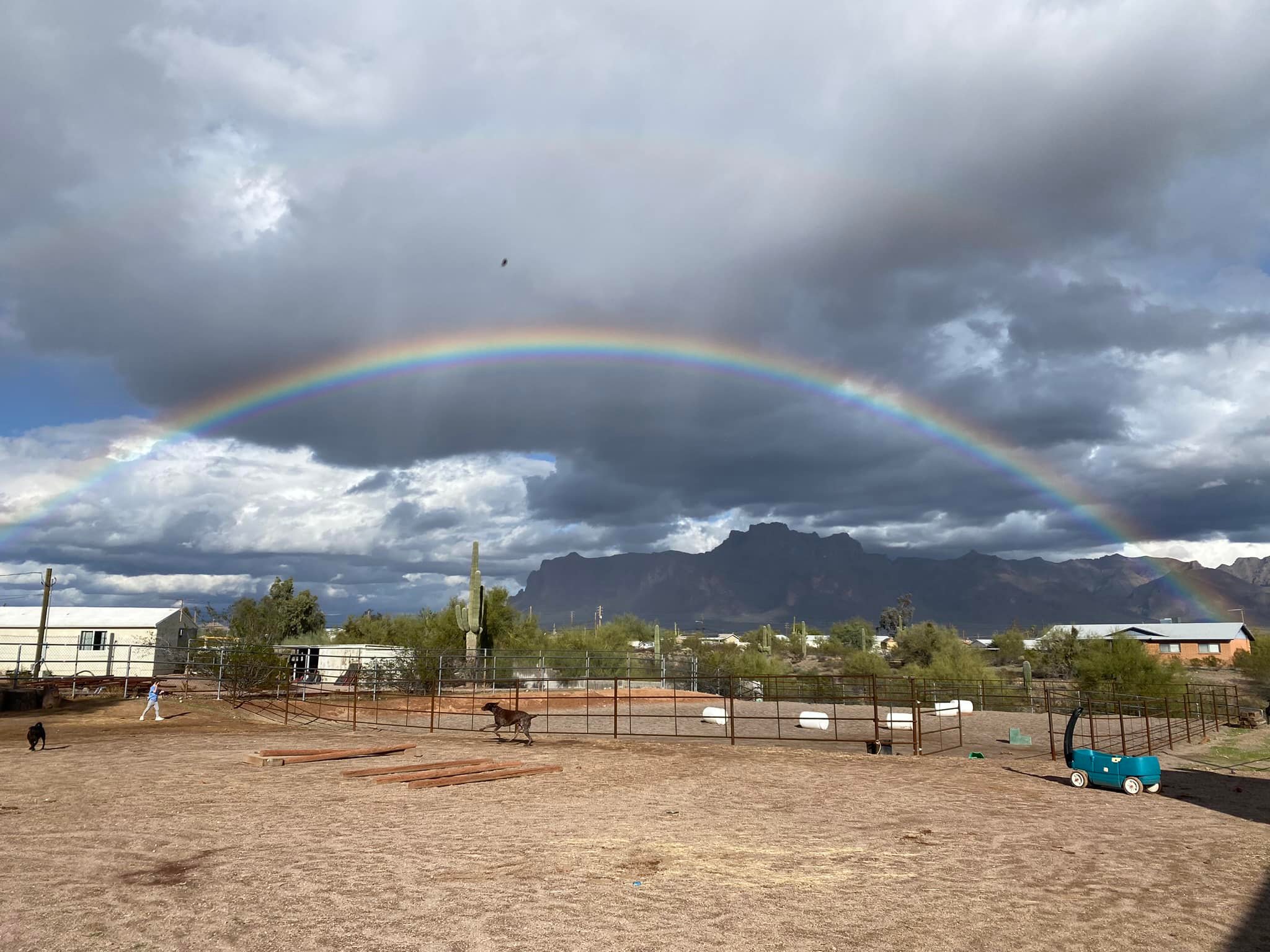Taylor Monje Training, LLC | Apache Junction AZ
