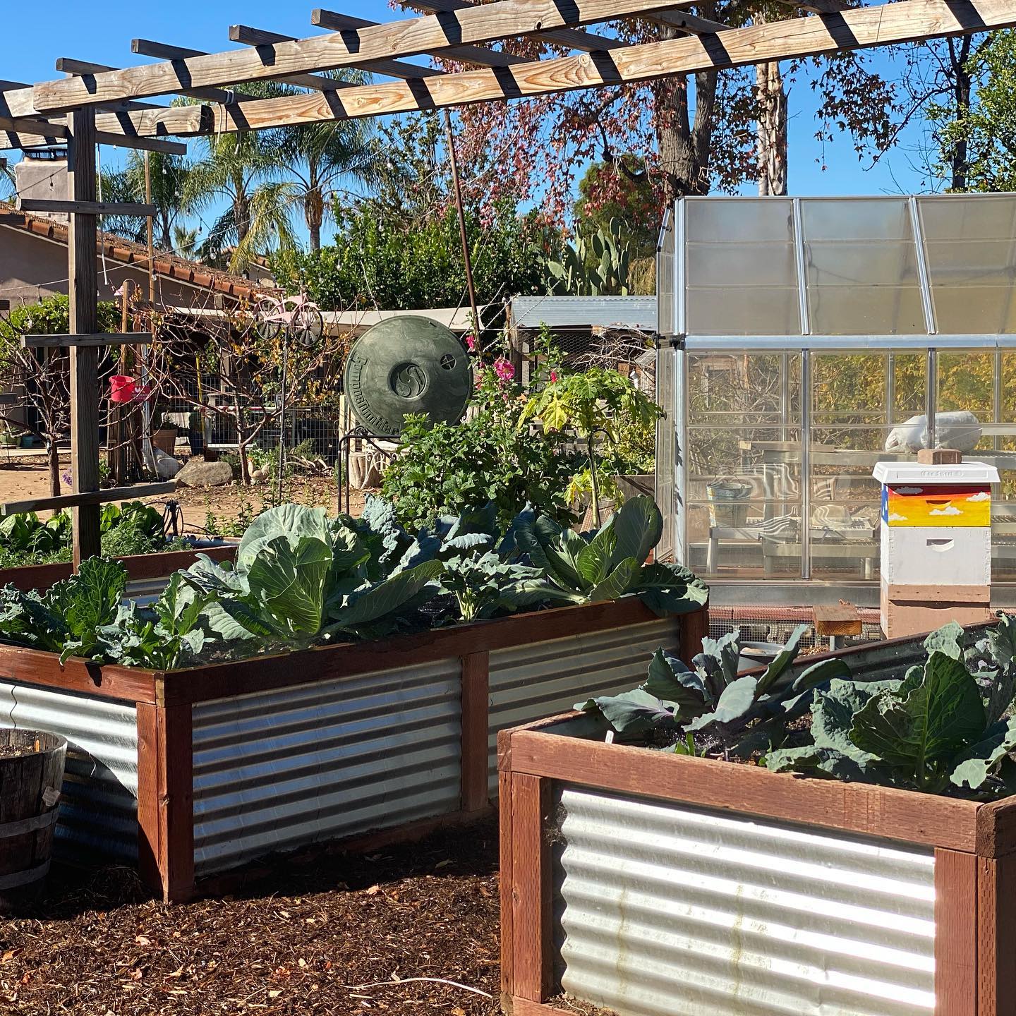 Small Box Farms