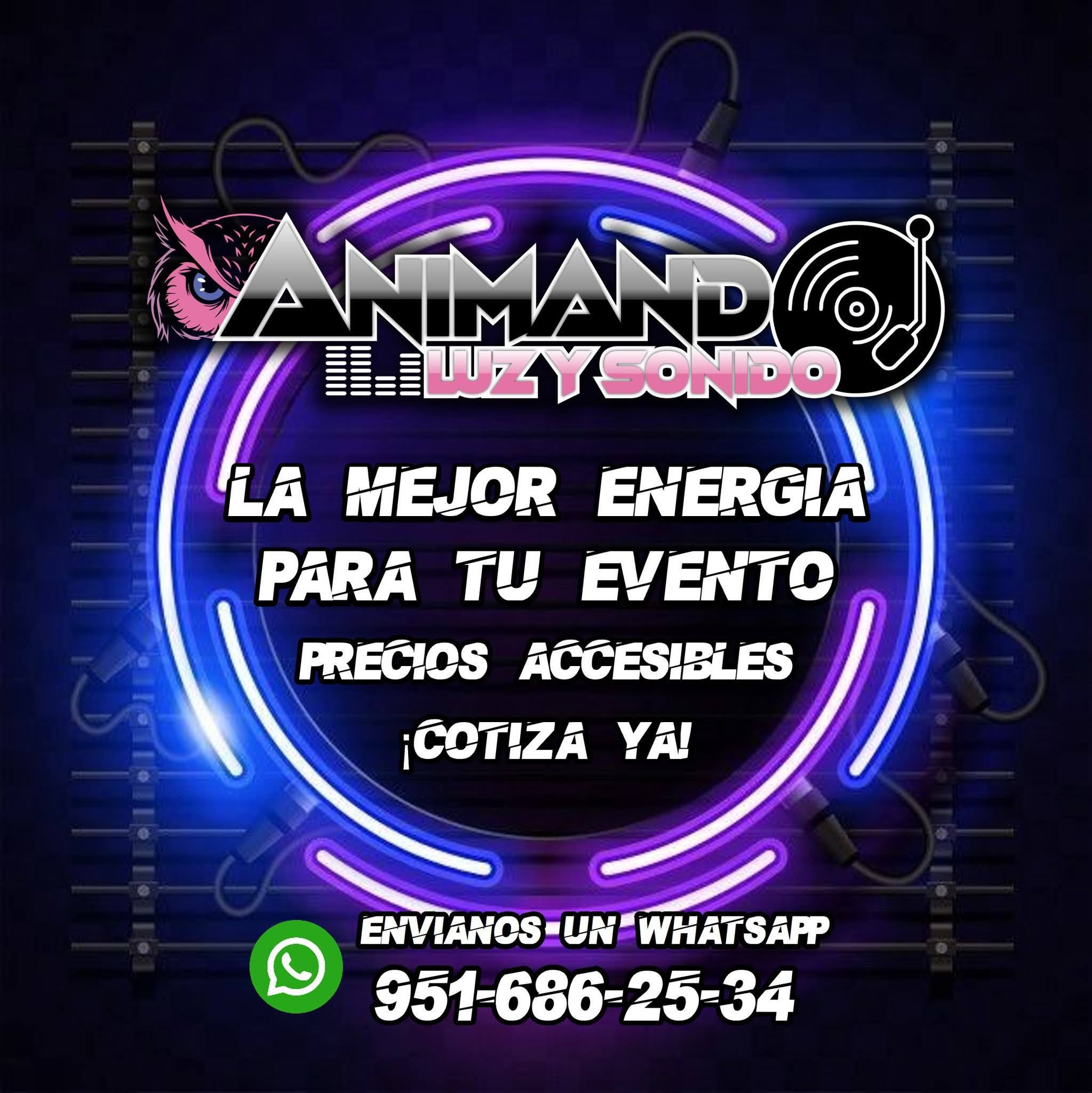 AnimAndo Oax-Mx