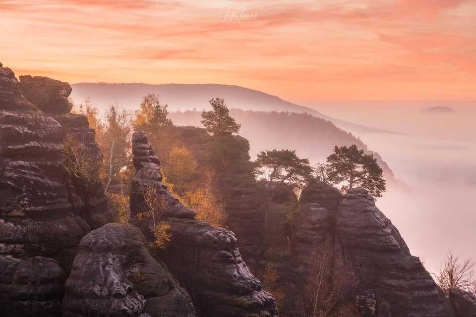 Foggy views. #view #pinetrees #panorama #saxonyswitzerland