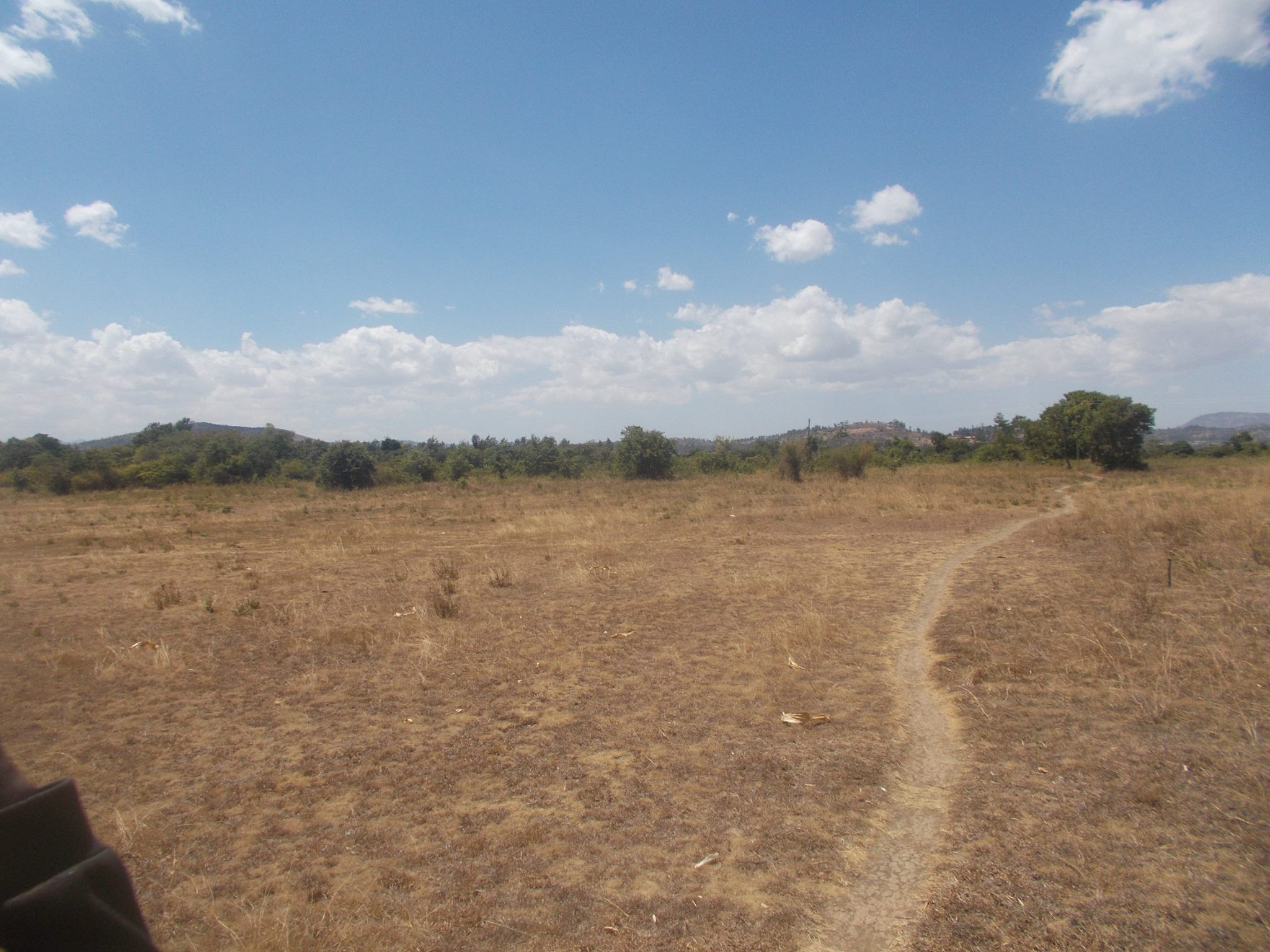 MERU REAL Estates LTD