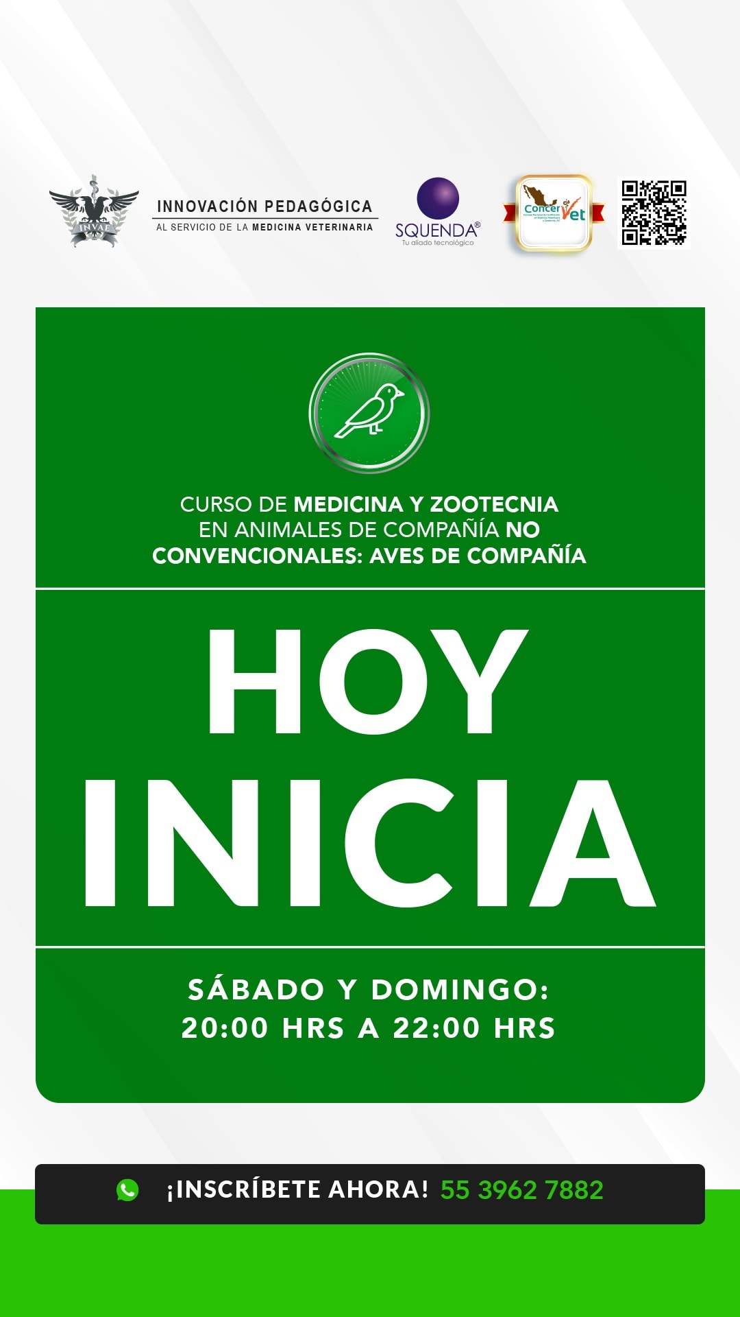 INVAE - La rabia es una enfermedad zoonótica de etiología viral ...