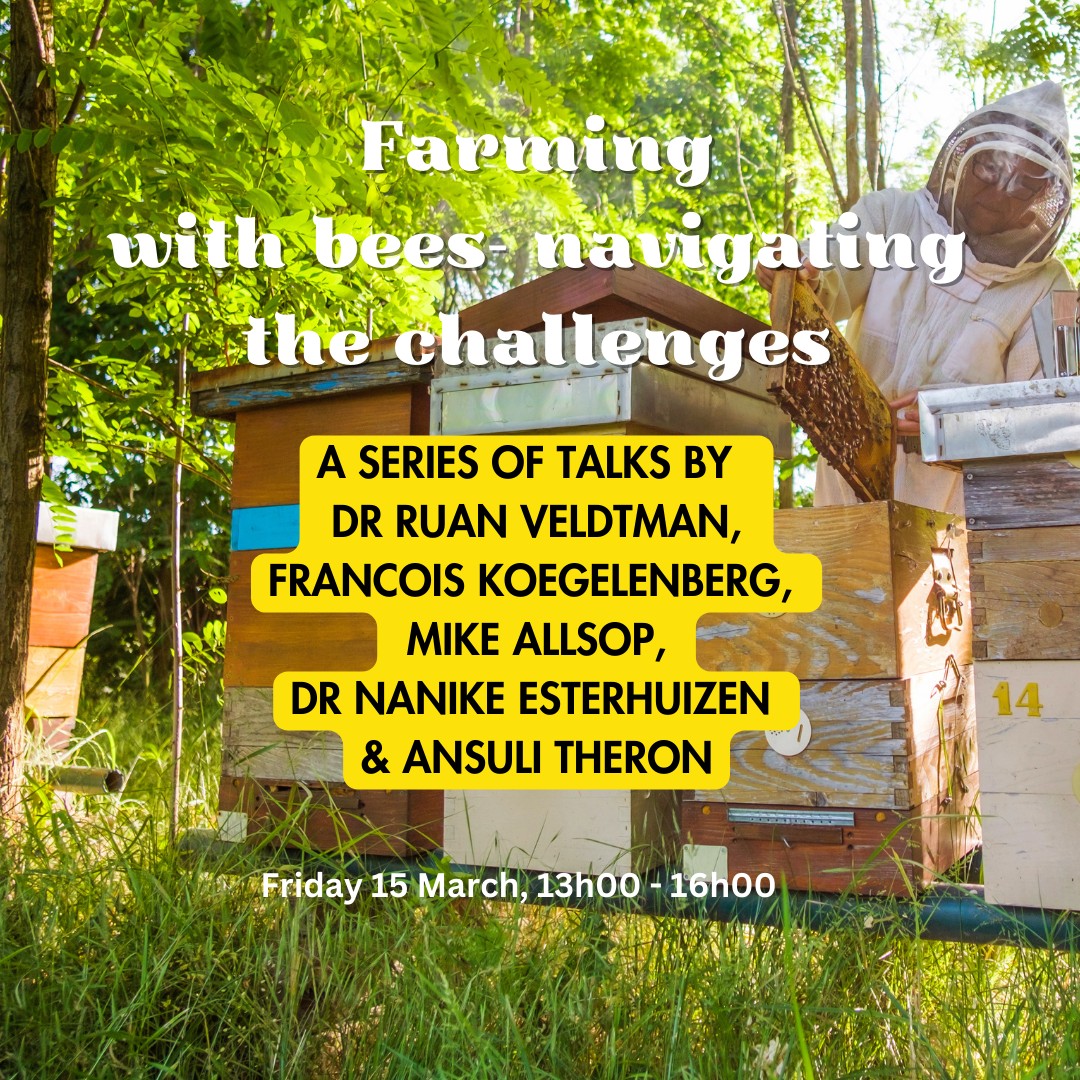 Rondeberg Honey Farm | Philadelphia