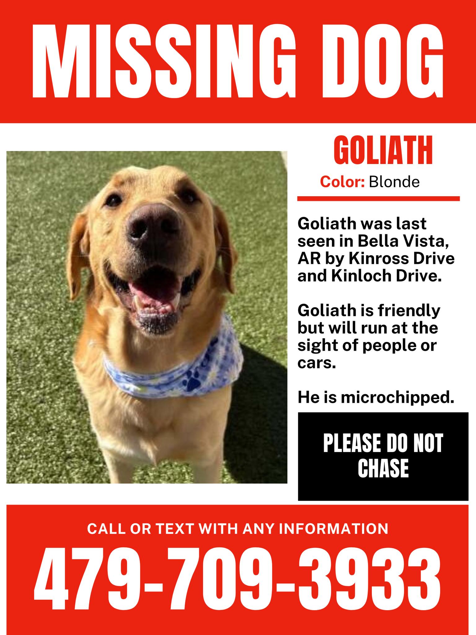 Missing dog Goliath found in Bella Vista, AR
