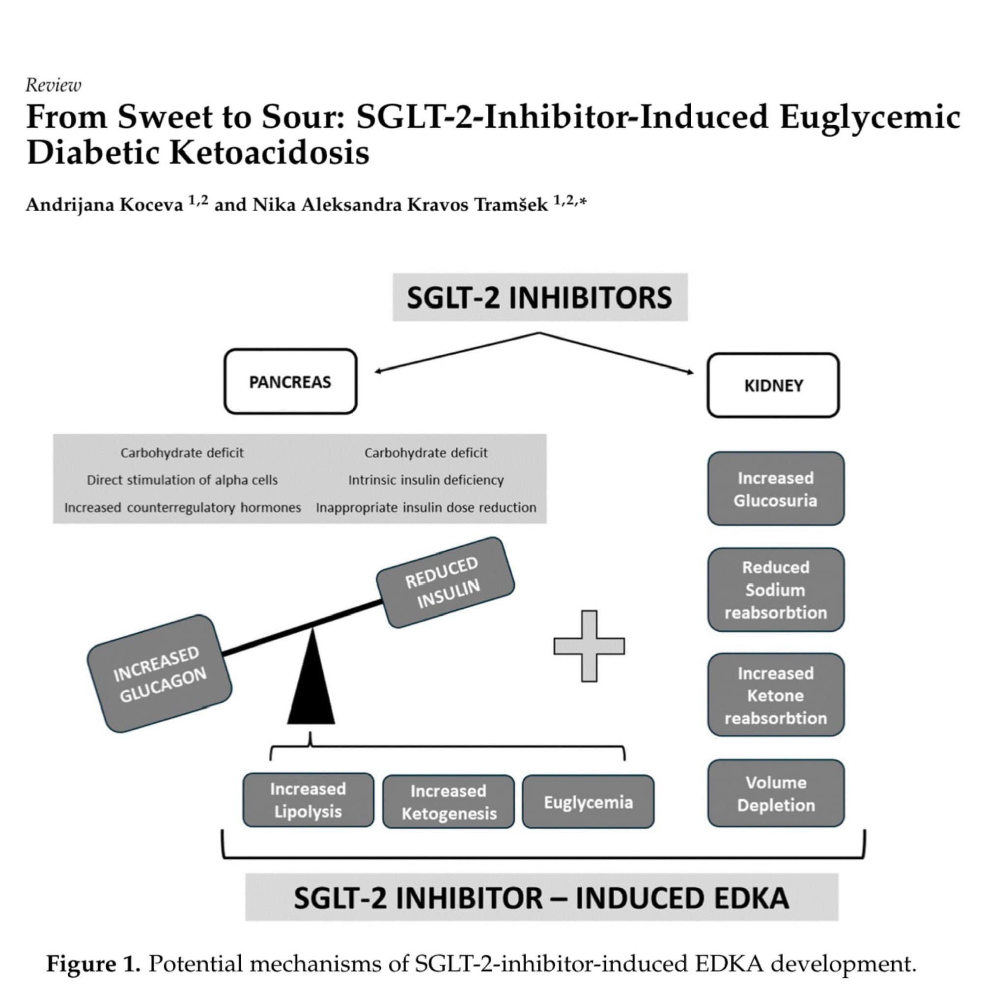 euglycemic dka glp 1 diabetic ketoacidosis in the era of SGLT-2 inhibitors Euglycemic Ketoacidosis After the Addition