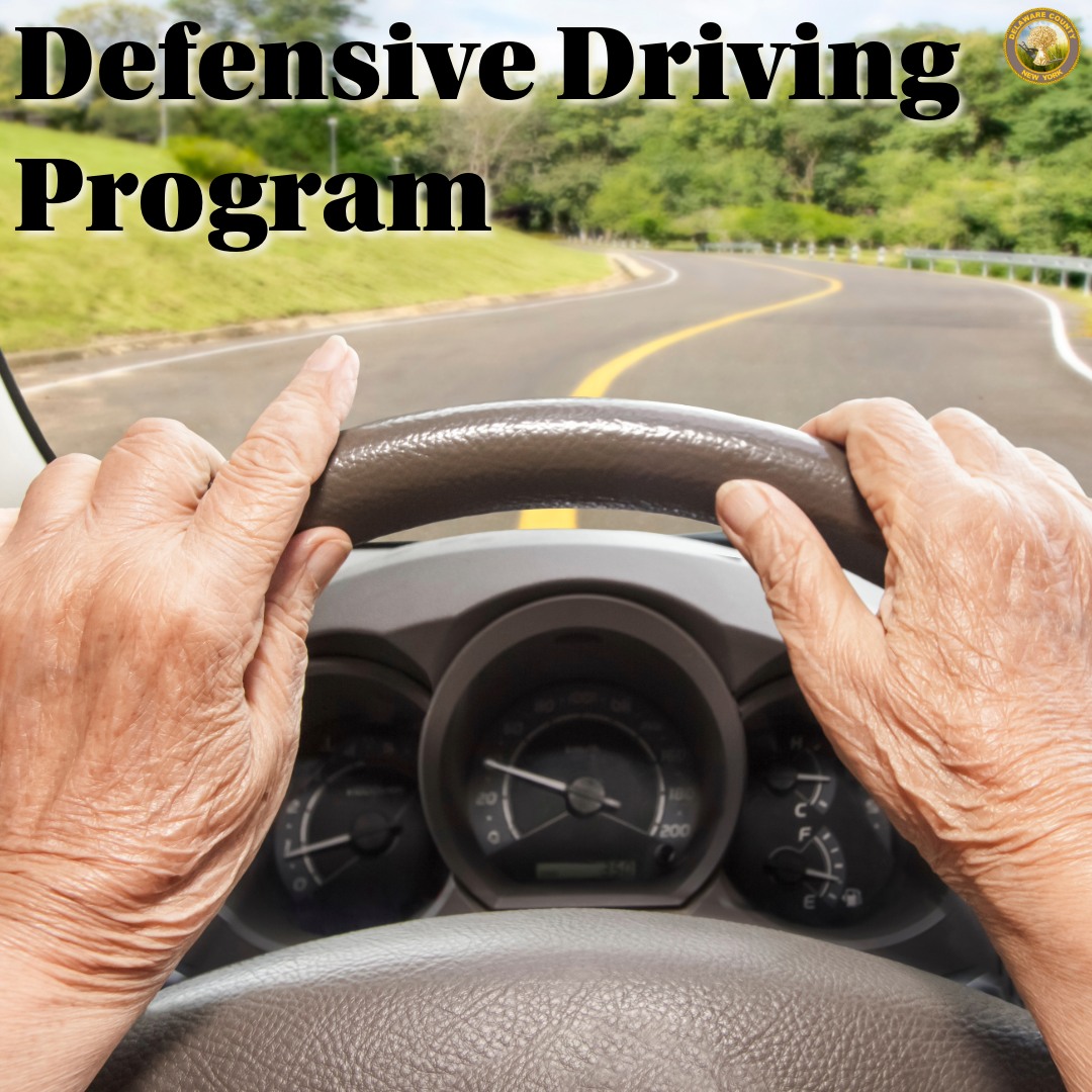 Delaware - Booty Security’s Defensive Driving Insurance and Points ...