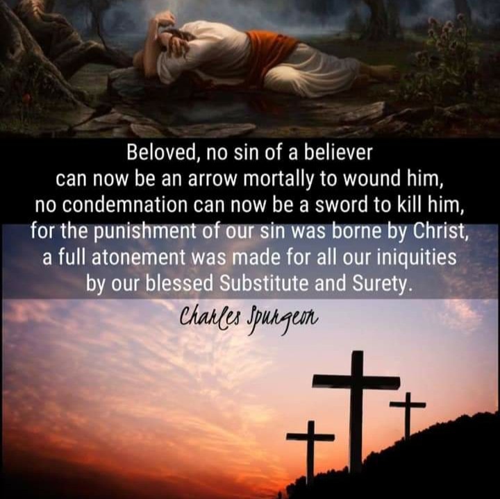 Reformed Christian Quotes - Dustin Benge ~ The Crucifixion of the LAMB ...