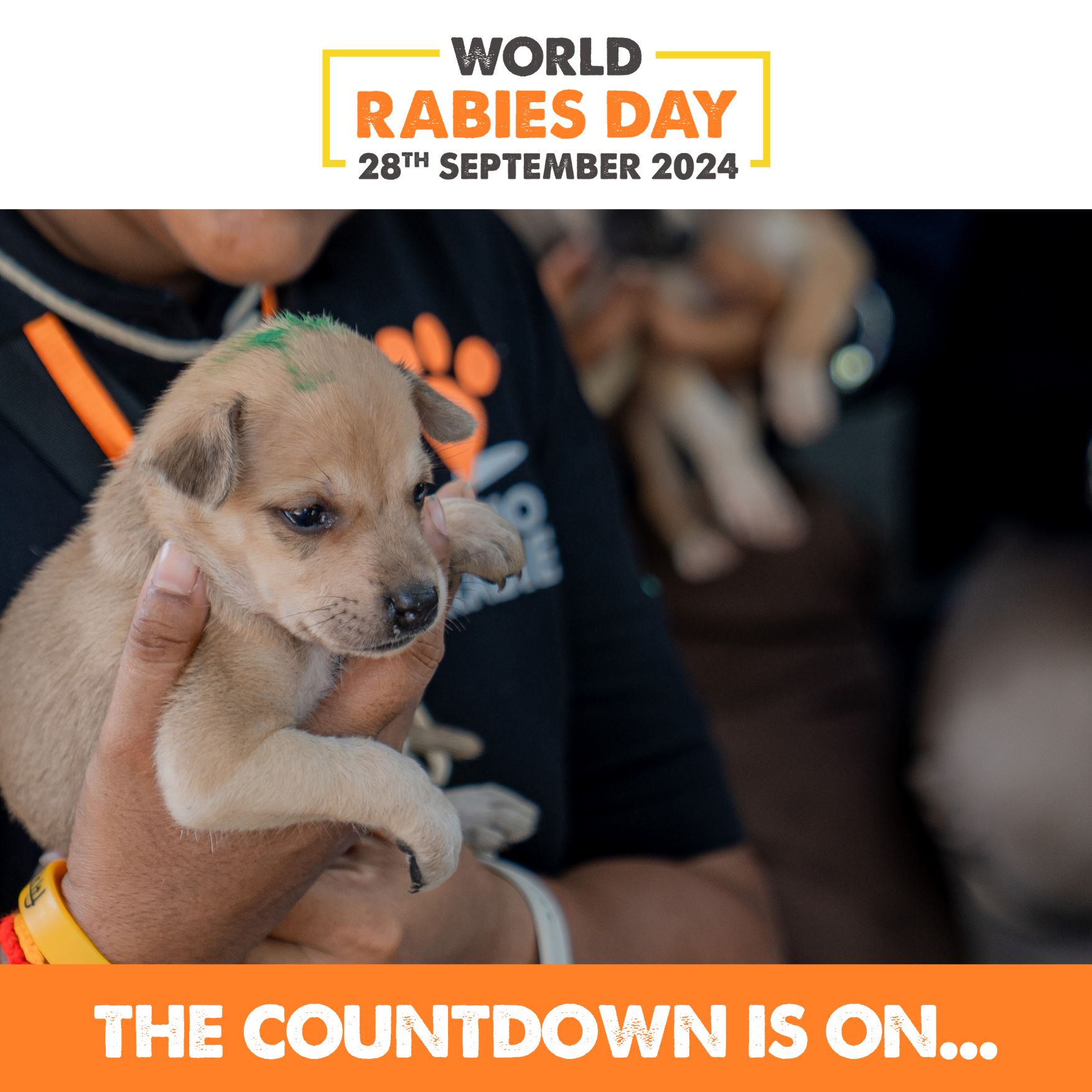 Mission - World Rabies Day is coming: Saturday 28th September 2024. 🐕 ...