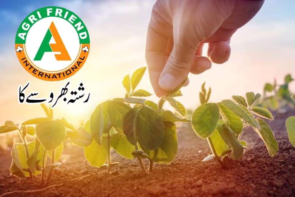 Agri Friend International | Multan
