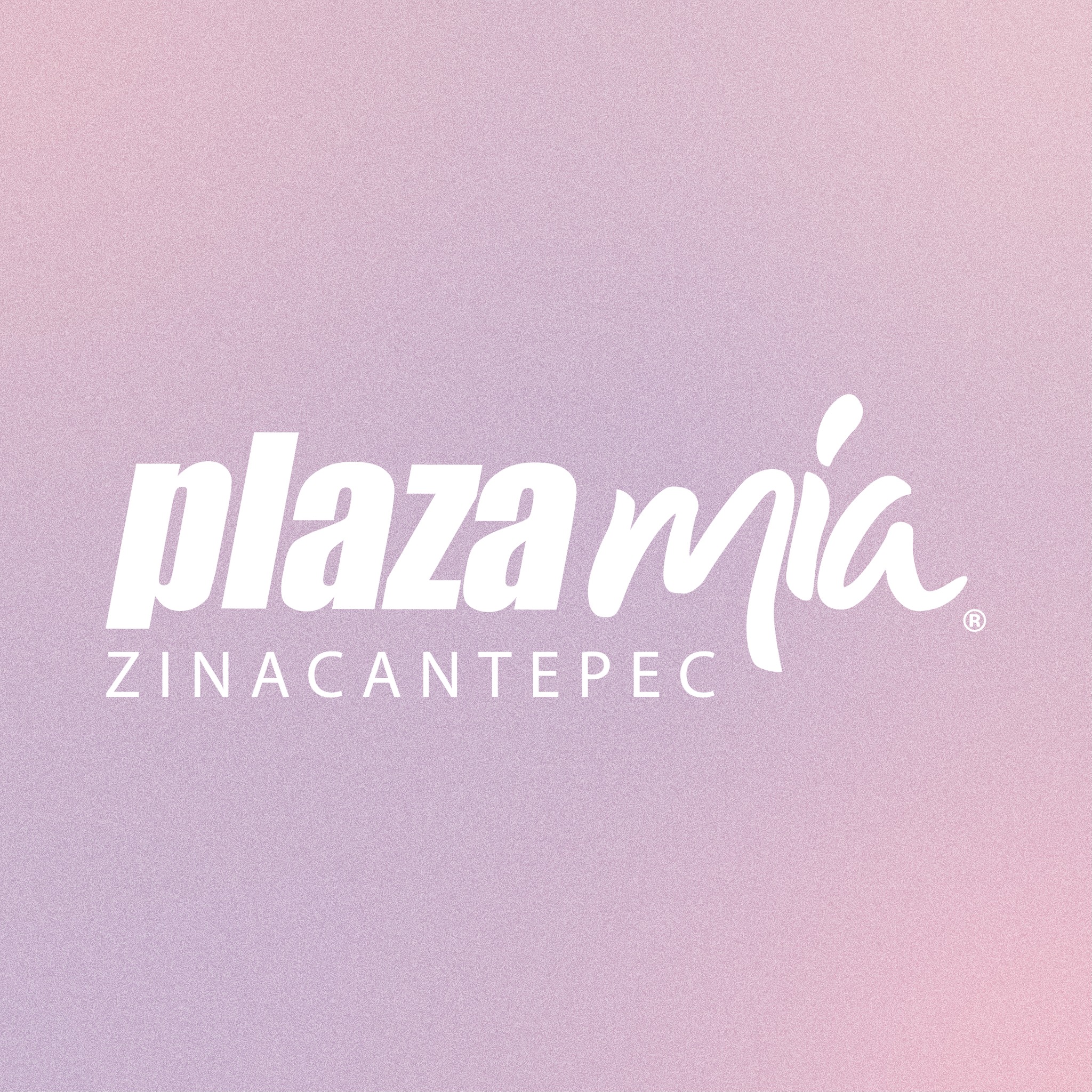 Plaza - ¿Ya probaste el delicioso sazón de Puros de Trompo en # ...