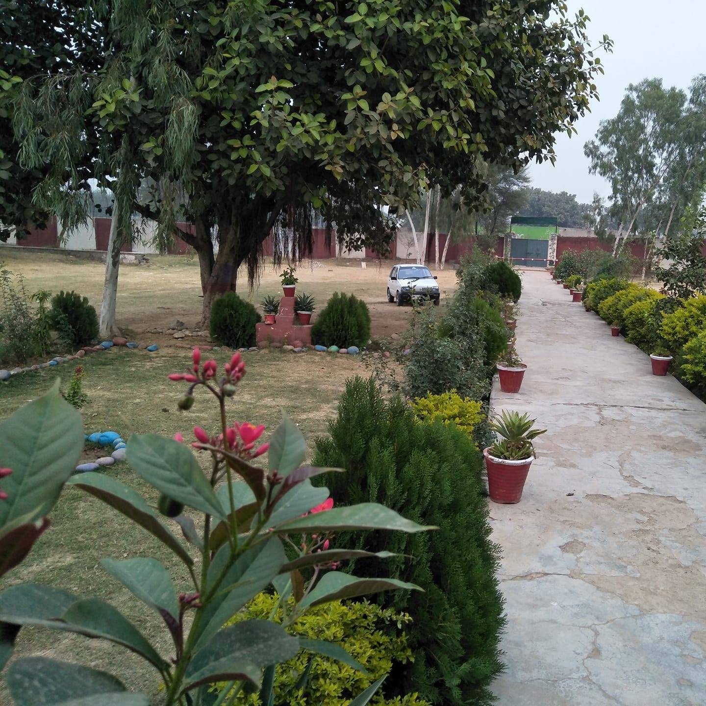 Government High... - Government High School, Chak Akka