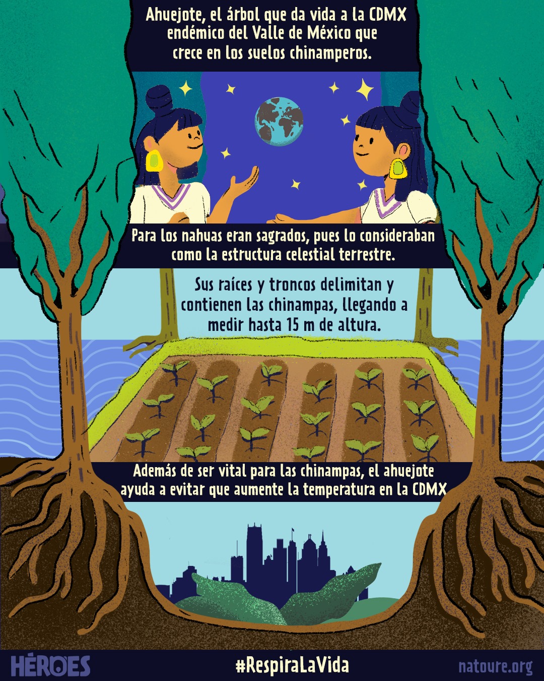 SoyXochimilco - Ahuejote: Endémico del Valle de México y...