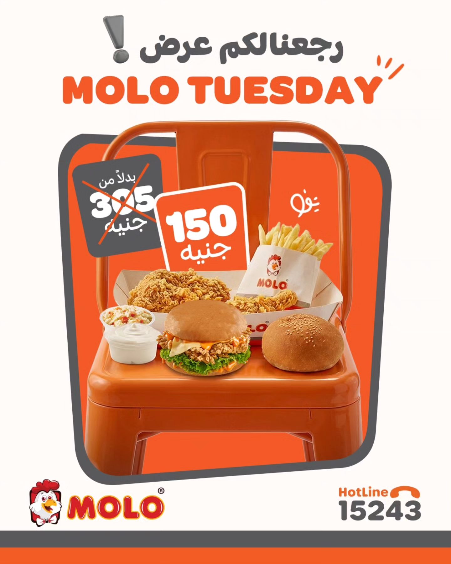 مولـو بروست - MOLO Broast