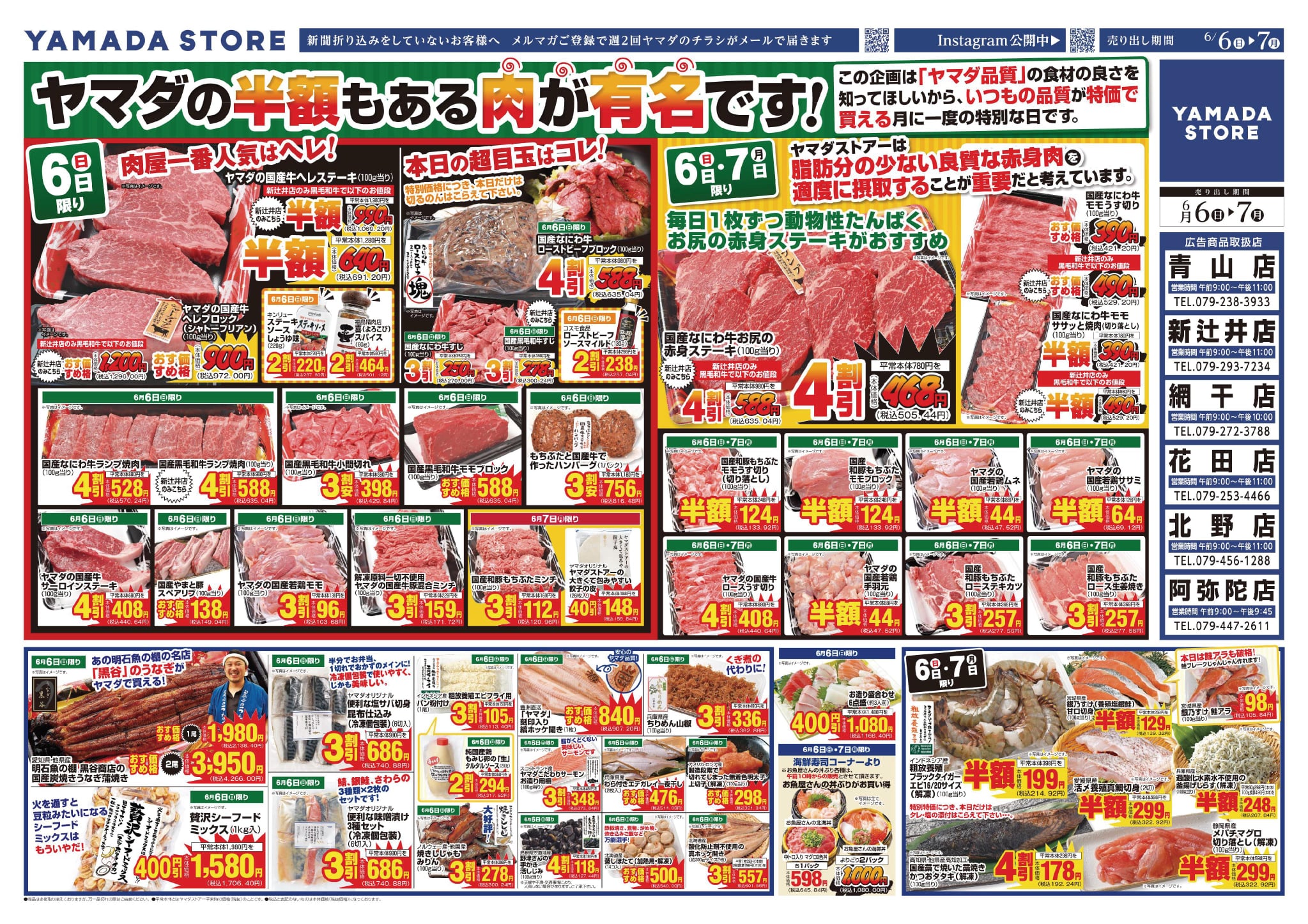 活動歴および当時の関連ビジュアル記録