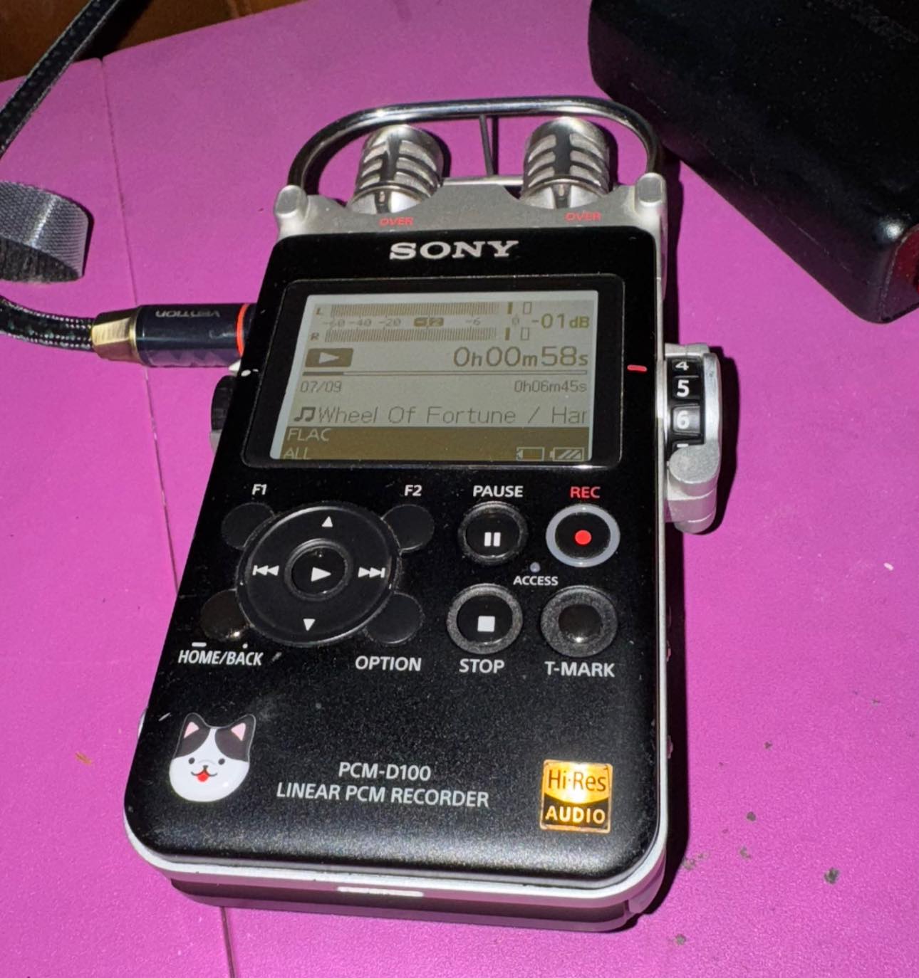 Sony PCM D100 Natural Audio Playback