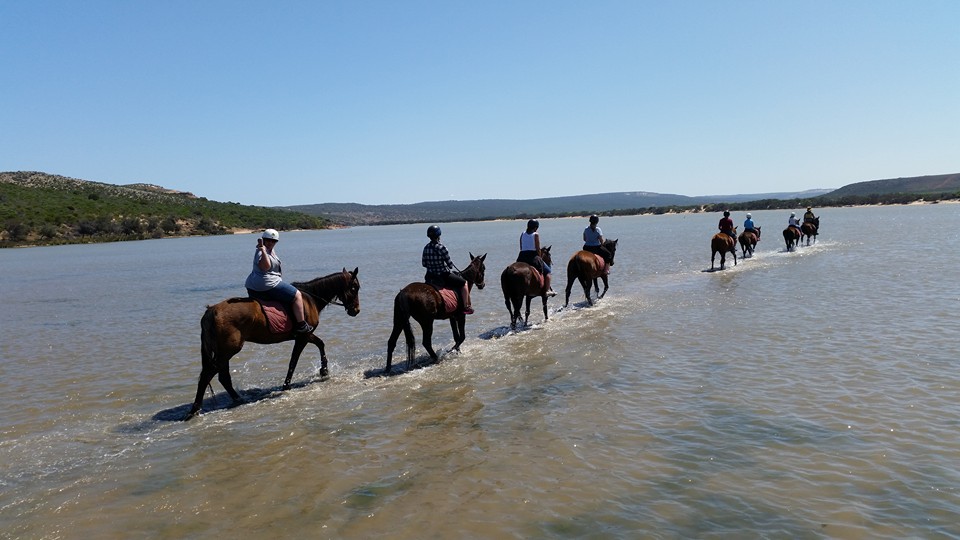 Beautiful day to be doing more... - Big River Ranch, Kalbarri