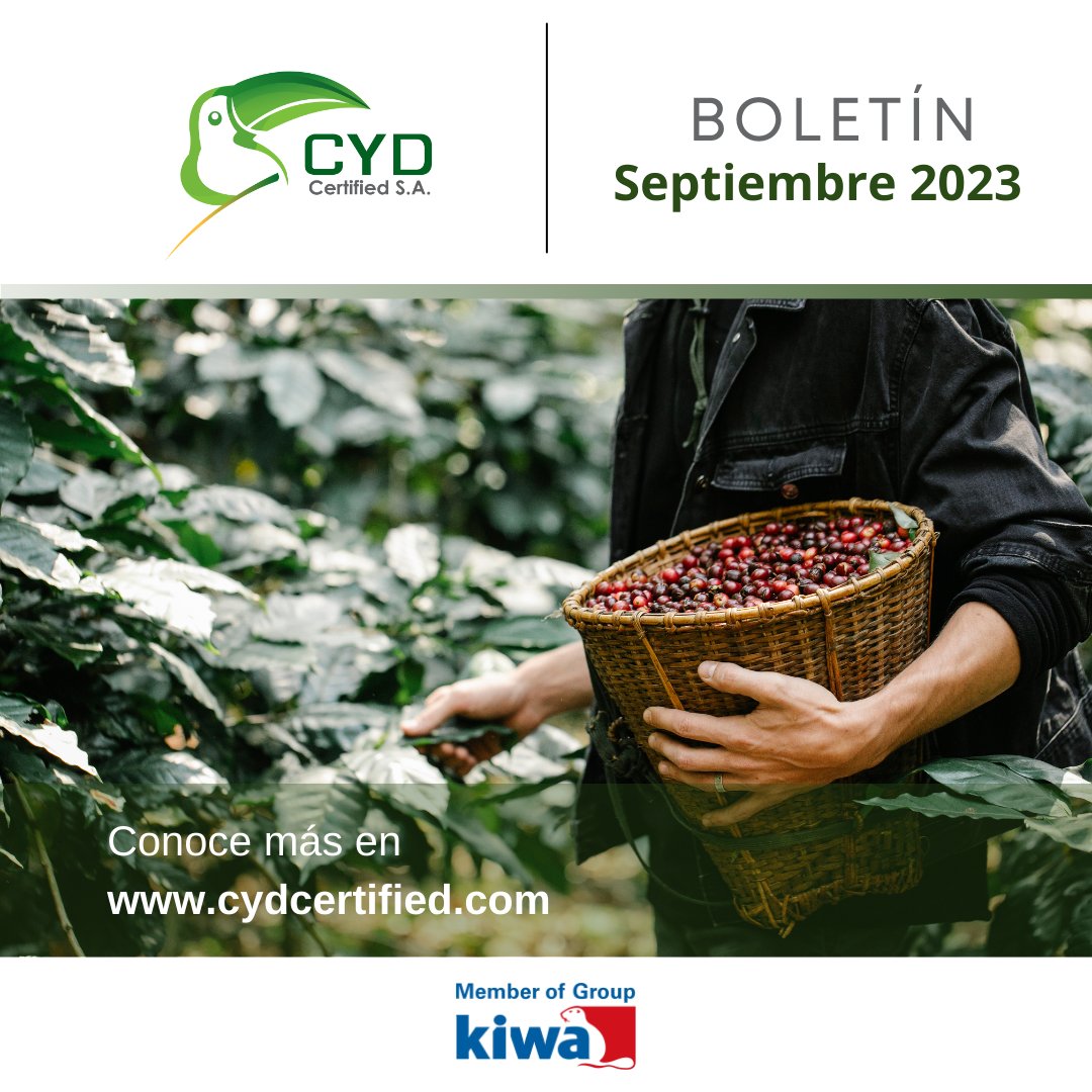 Cyd Certified | Quito
