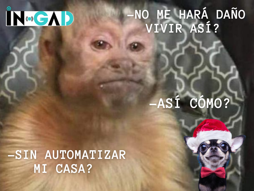 INGAD | Mexico City