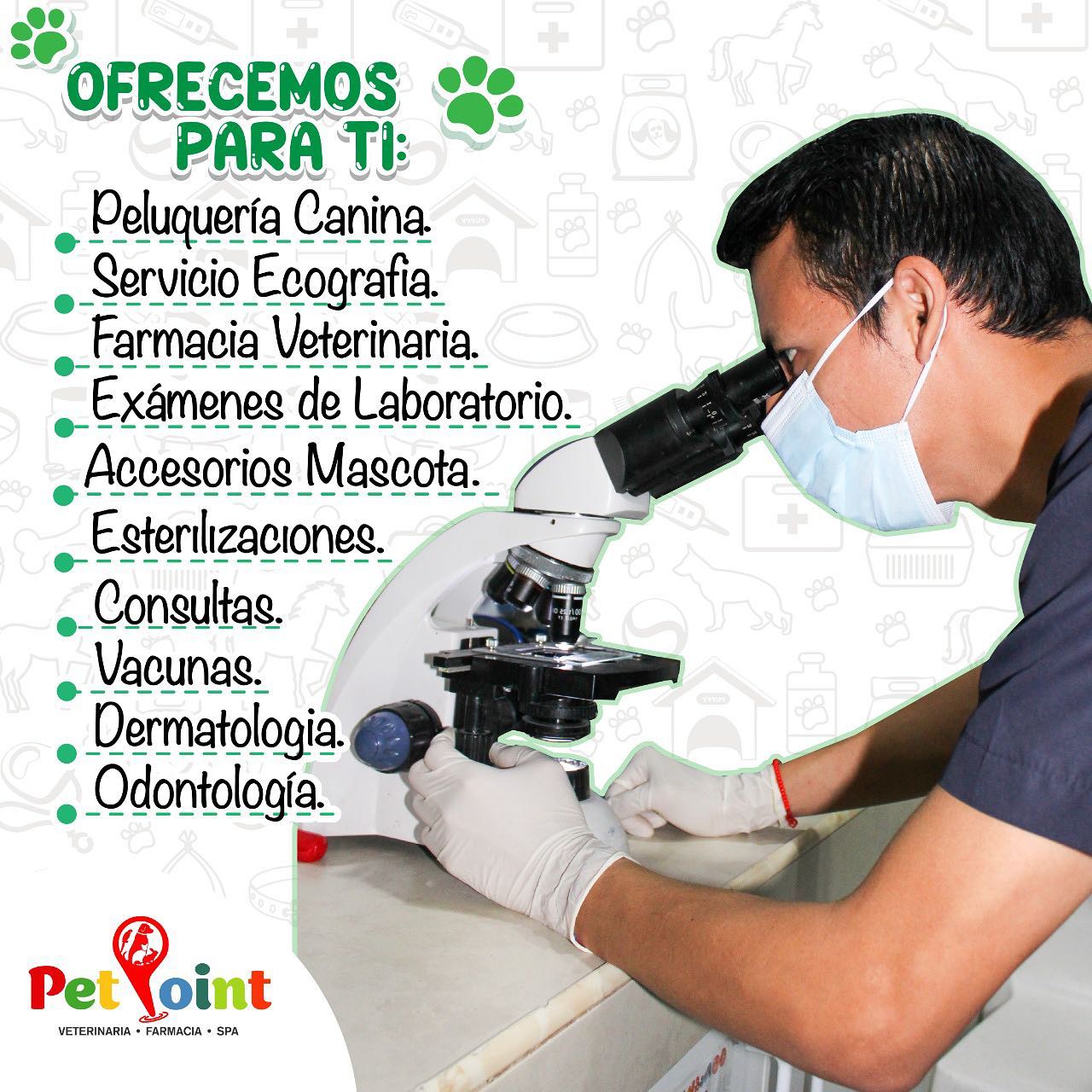 Pet Point tus profesionales de... - Veterinaria PetPoint | Facebook