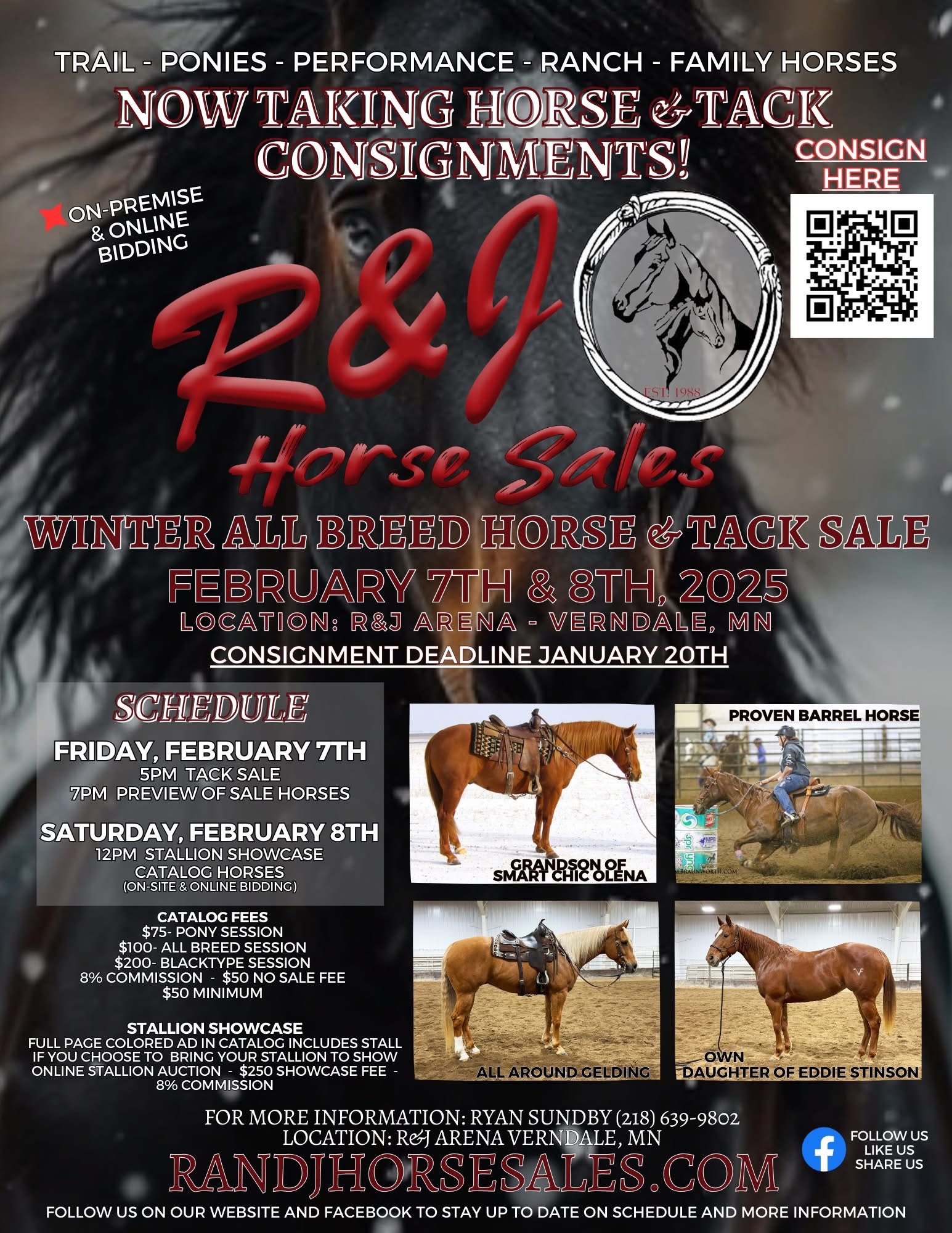 R&J Horse Sale Consignments | Facebook