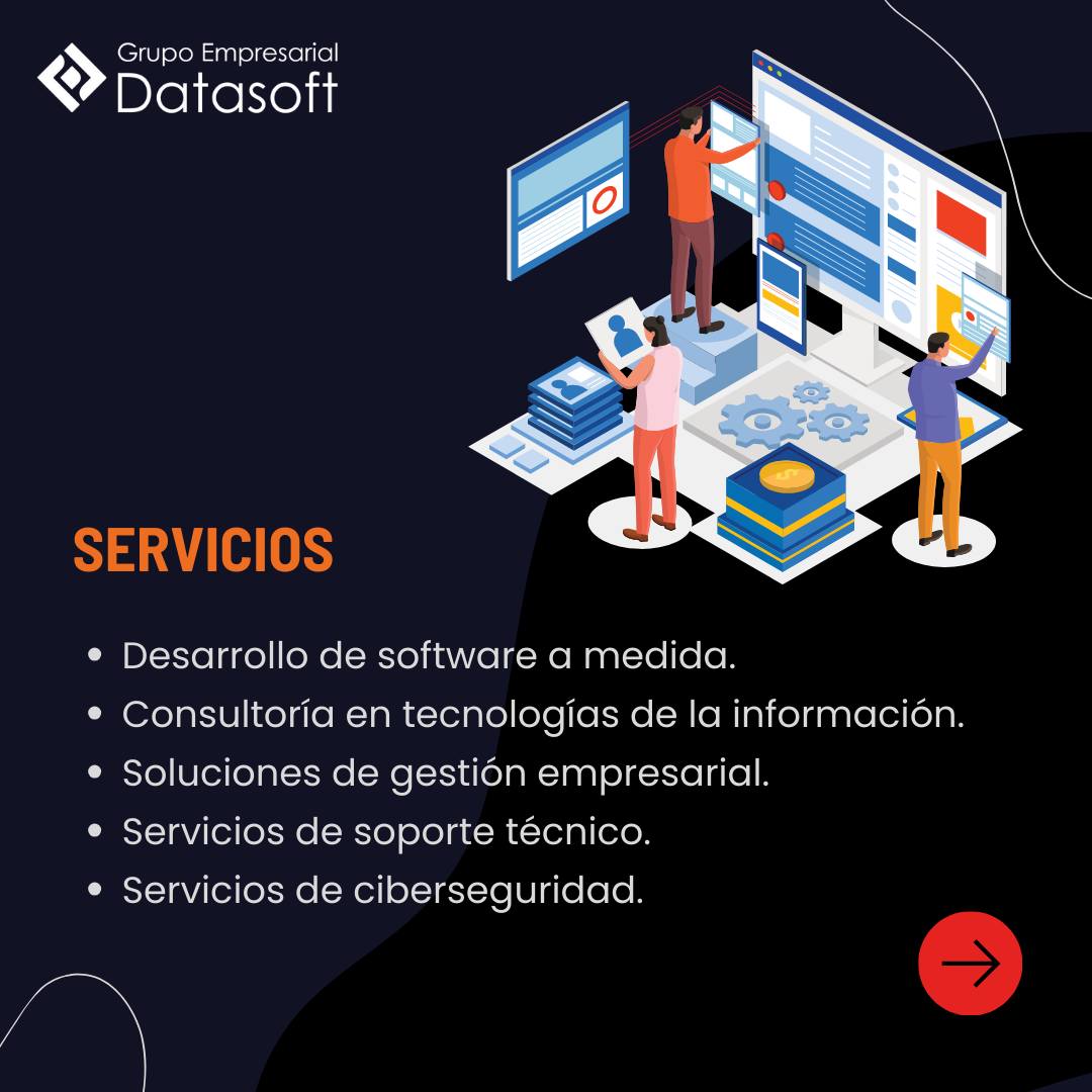 Datasoft Netsolutions SA | Curridabat