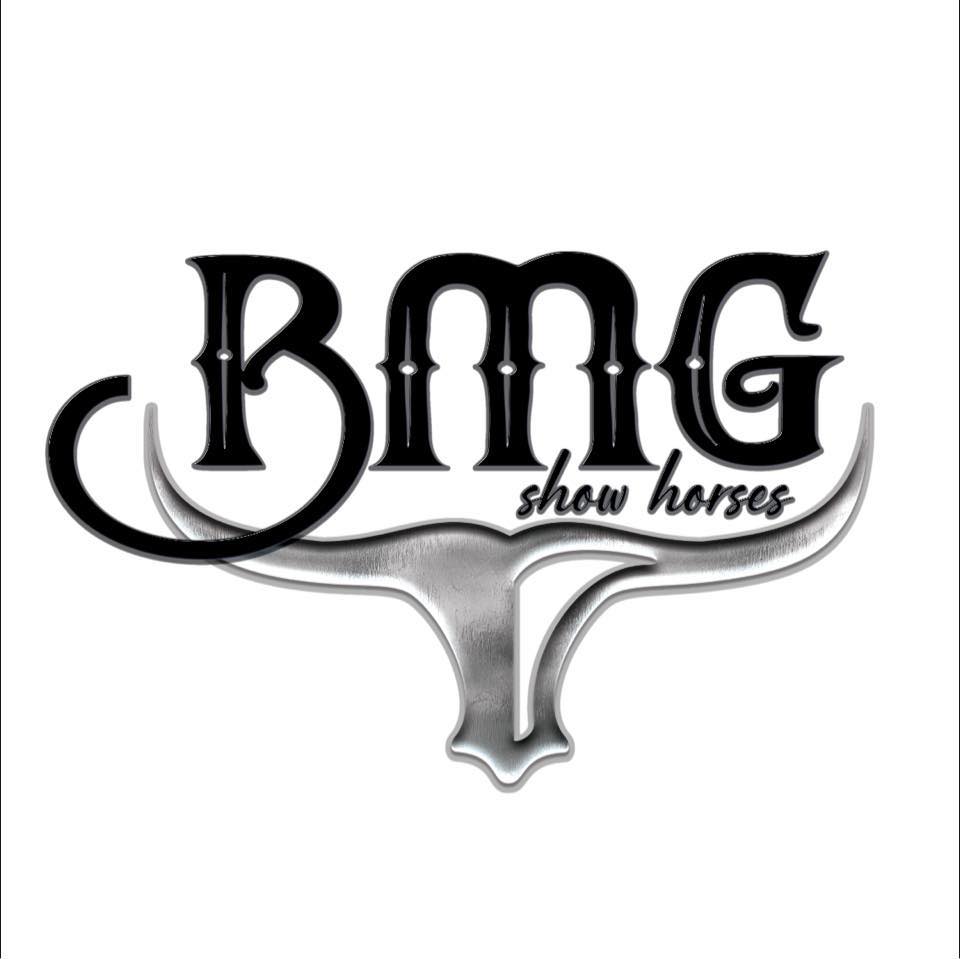 BMG Show Horses - WHIZ A CHICOLENA 🏆 CONGRESS CHAMPION —... | Facebook