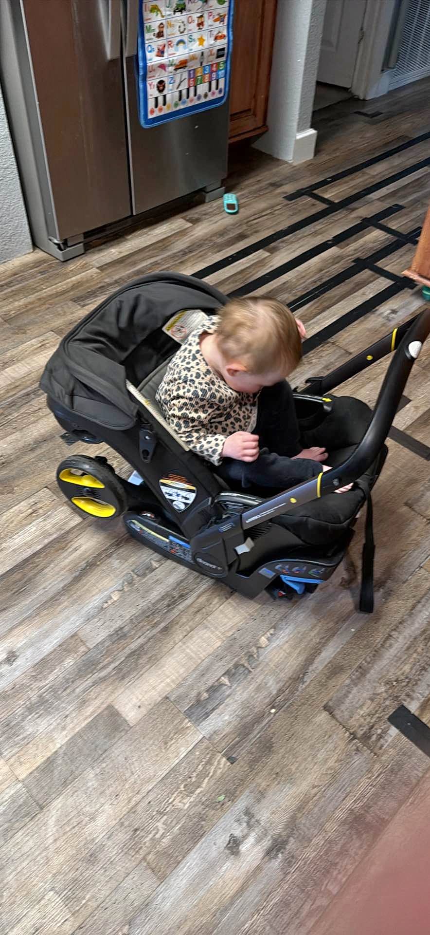 w2 stroller wagon Luxe All-Terrain Kids 2 Seater – WONDERFOLD COLOR:3 Category_Saltwater Jigging Vera Bradley Outlet Lighten point harnesses and an