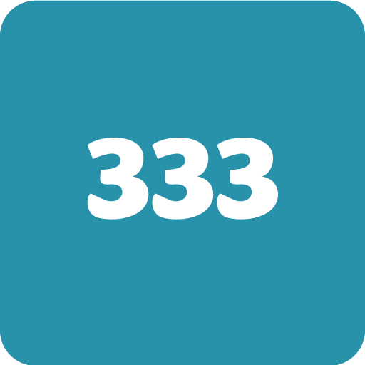 333 Game