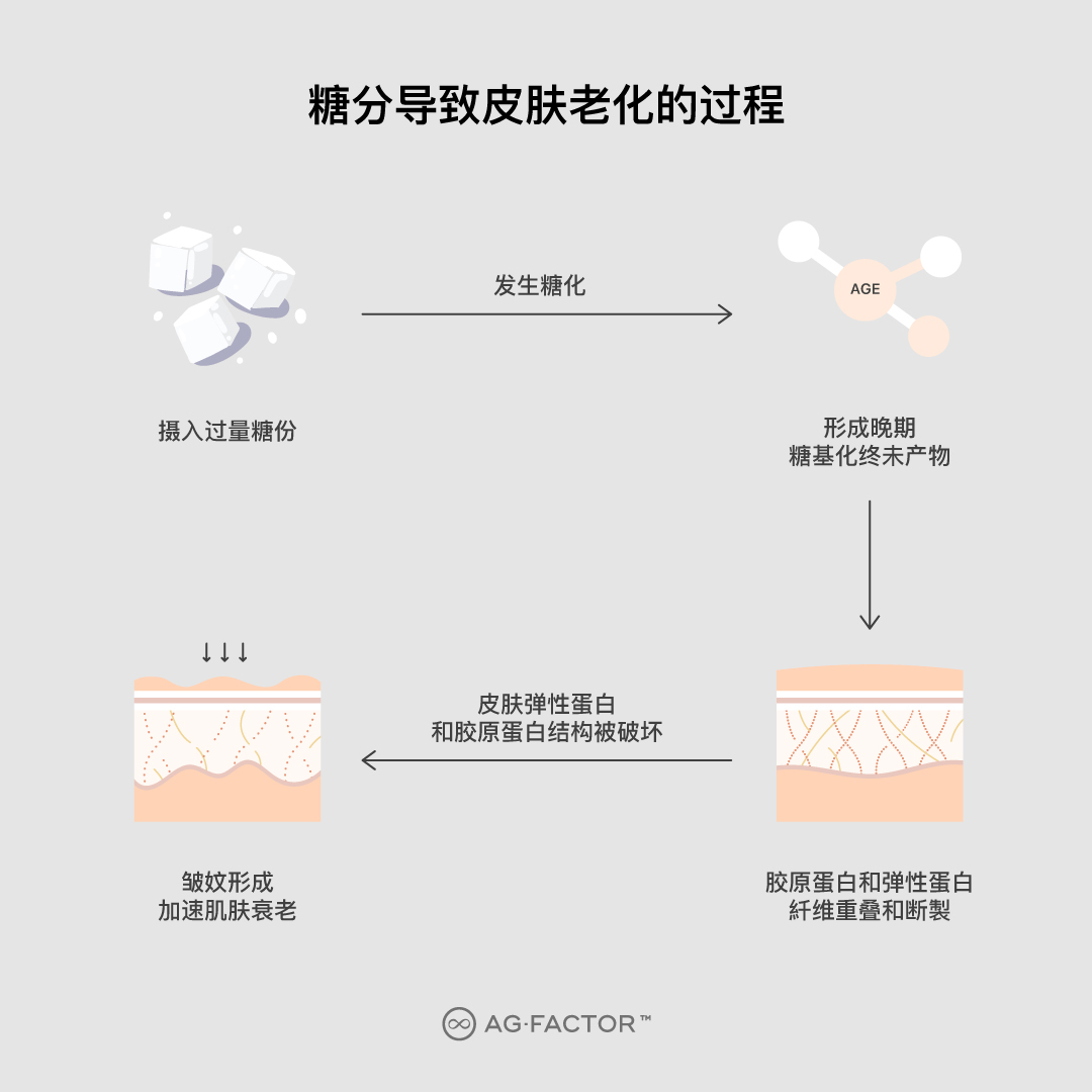 AG-FACTOR 中文