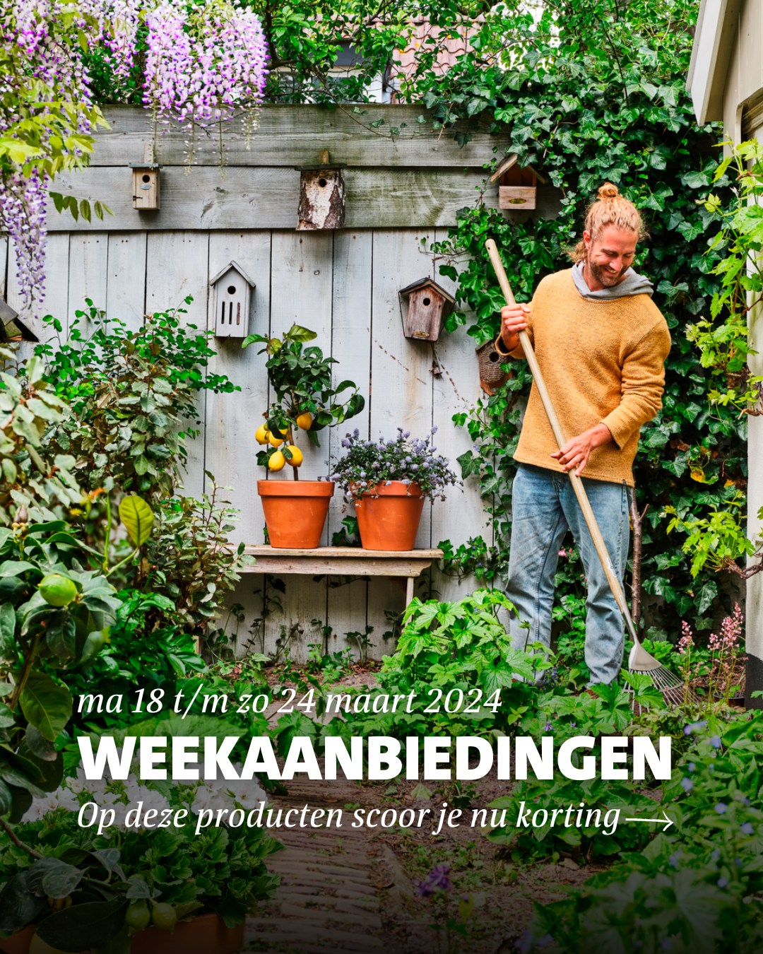 Intratuin - Zaaien, planten, poepen! 🌱 𝘜𝘩, 𝘸𝘢𝘤𝘩𝘵, 𝘱𝘰𝘦𝘱𝘦𝘯?...