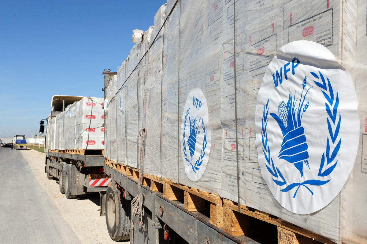 The Brief - WFP requires N$14m to close December–May funding gap in ...