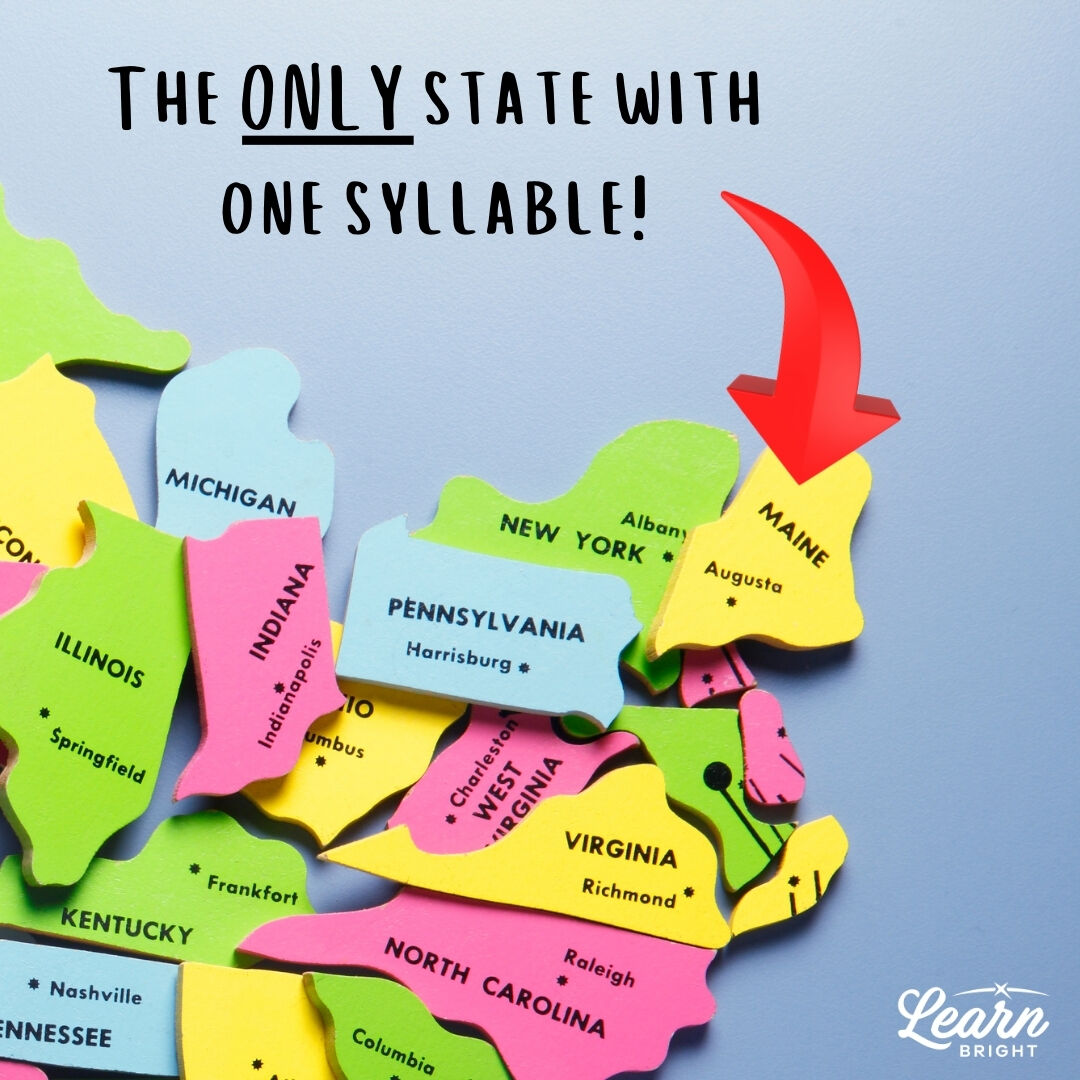 Learn - 🎉 FUN FACT FRIDAY!! 🎉 Maine is the only state that has a single ...