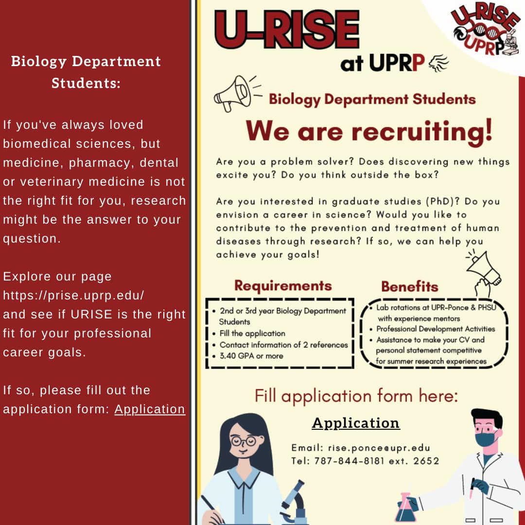 UPR - https://prise.uprp.edu https://prise.uprp.edu/urise-application ...
