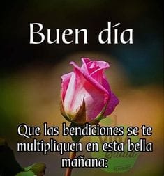 Profile for Frases de Amor, reflexión y vida.