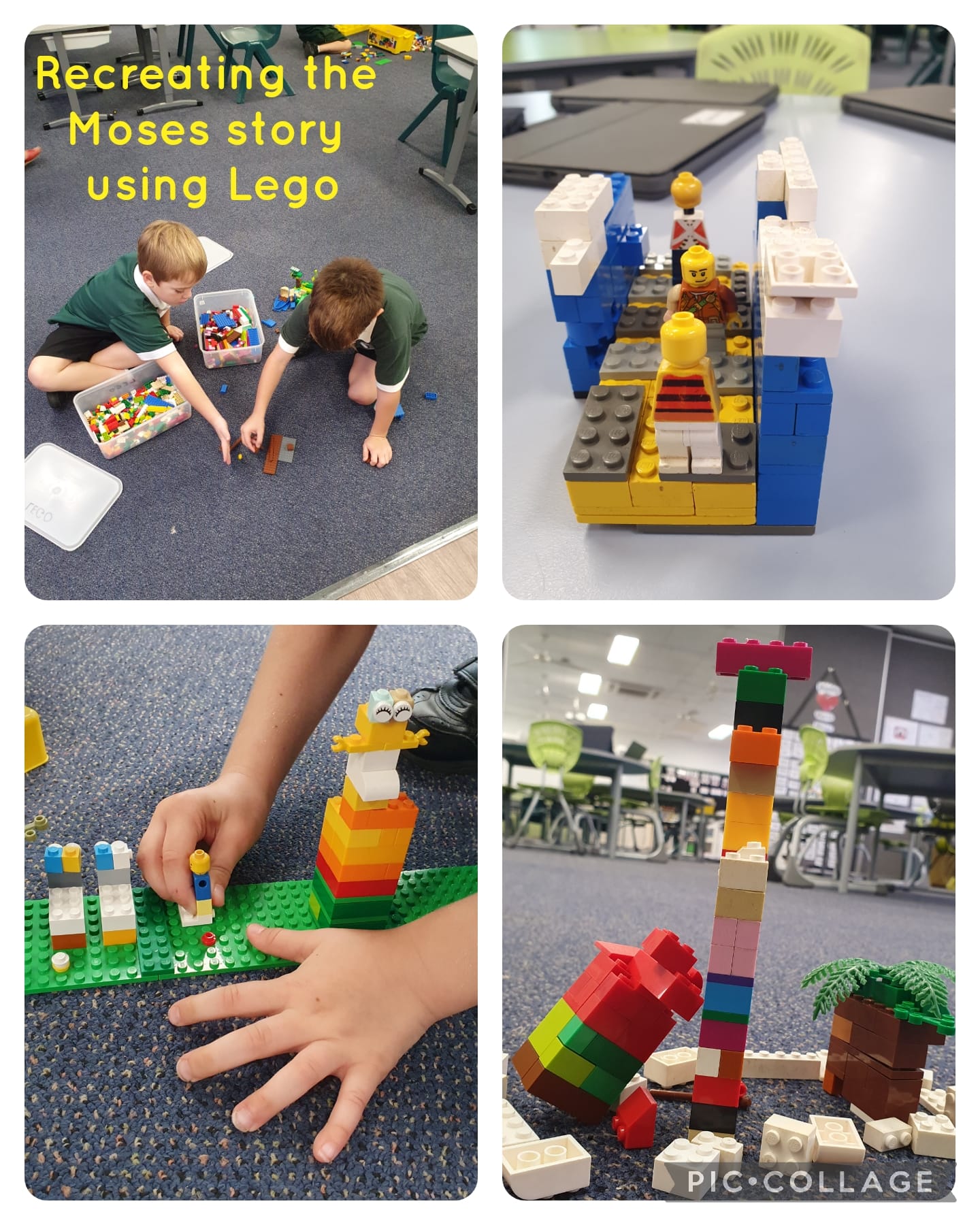 Meet one of our amazing... - Holy Cross School Wooloowin