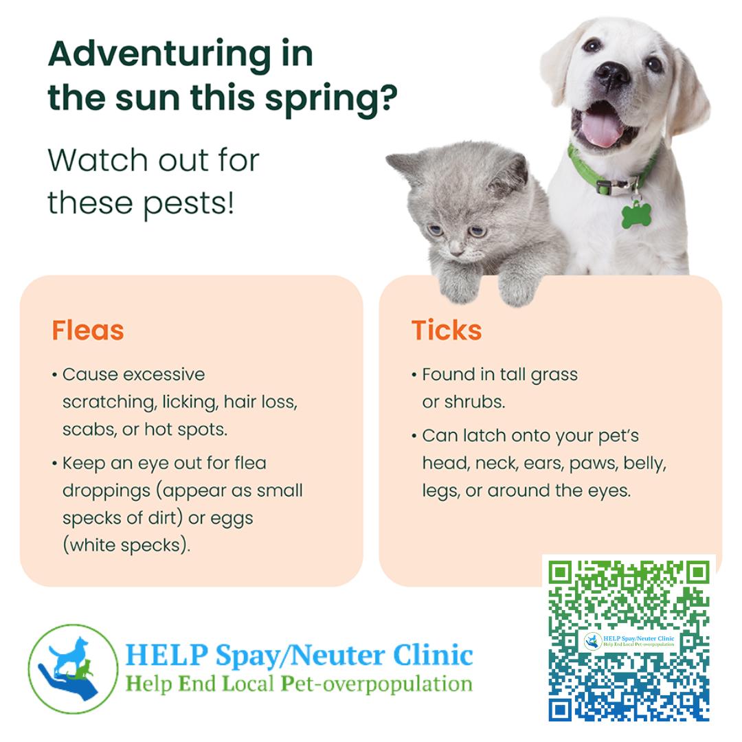 Photo inspiration: Picture Idea: Don T Let Fleas And Ticks The Help Spay Neuter