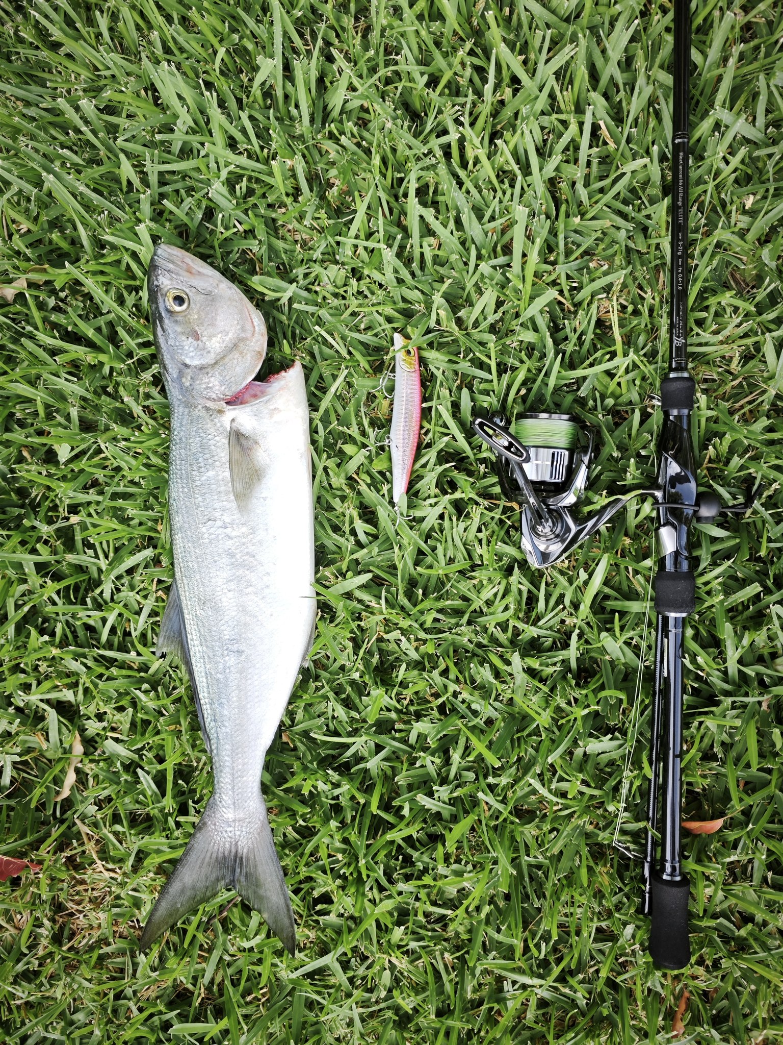 Topwater lure on yamaga blanks blue current 72 TZ Nano jig special
