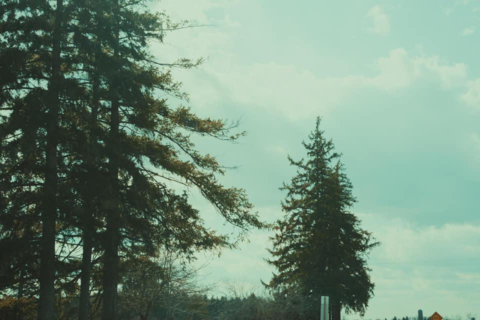 JS Photography
