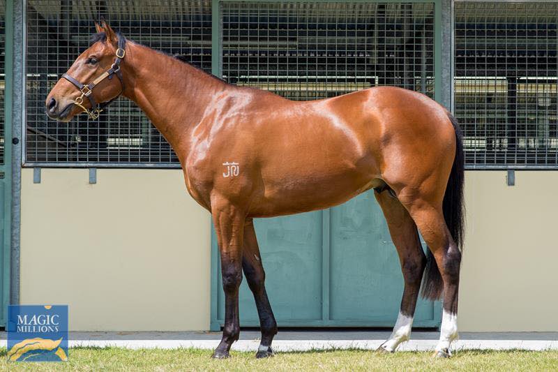 Geran Racing - Yesterday at the first day of the 2019 2yo...