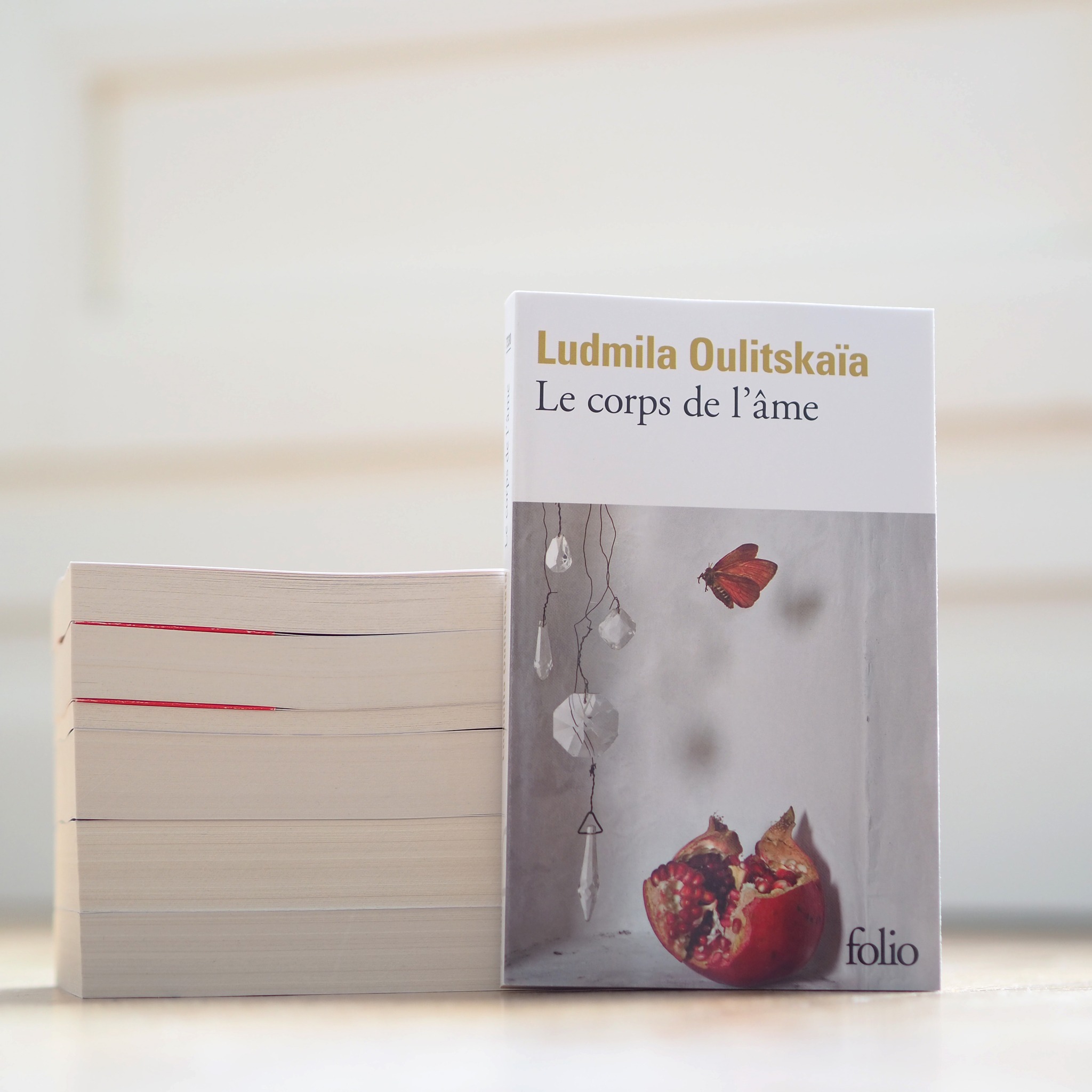 Slip Empreinte Ludmila - Taille FR 38/44 (36/42 EU), Neuf Avec étiquettes, Couleur Rouge Impérial