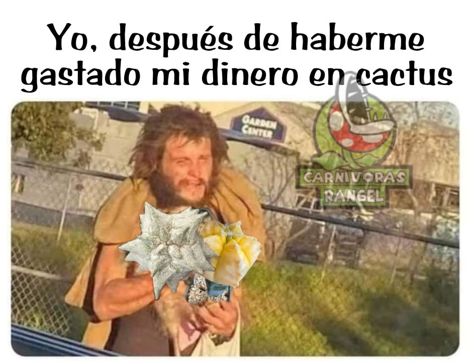 #Sisoy 🙈🙈🙈 #carnivorasRangel #memes - Carnivoras Rangel | Facebook