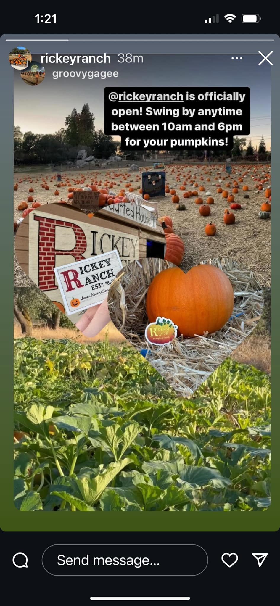 Rickey Ranch Pumpkin Patch | Granite Bay CA