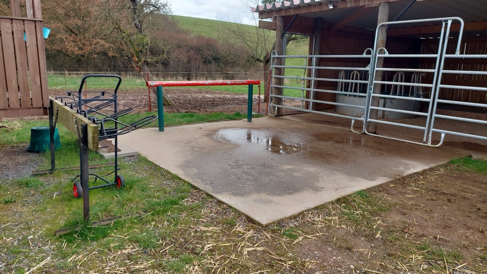 Cooper Ranch - Westernreiten nach Cowboyart bei Nordhausen | Steinsee