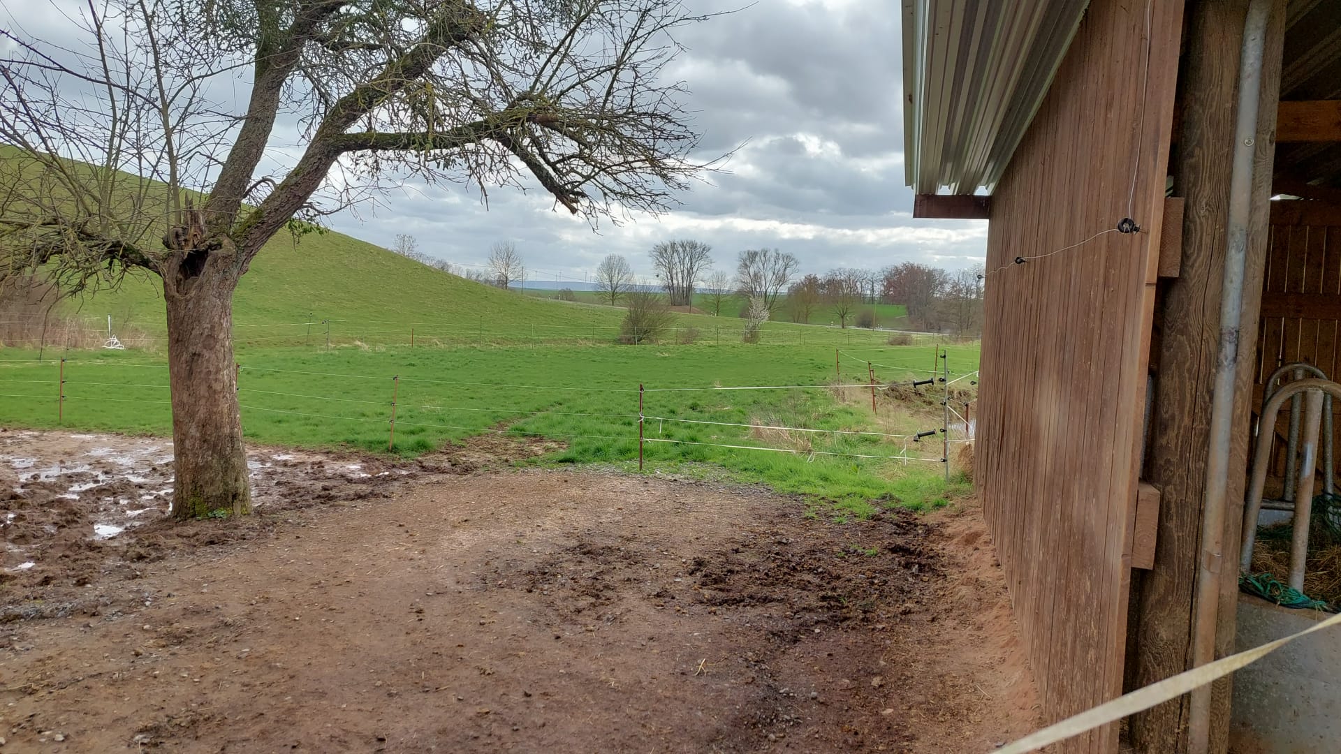 Cooper Ranch - Westernreiten nach Cowboyart bei Nordhausen | Steinsee