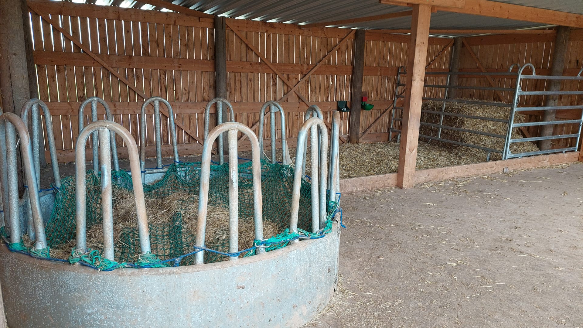 Cooper Ranch - Westernreiten nach Cowboyart bei Nordhausen | Steinsee