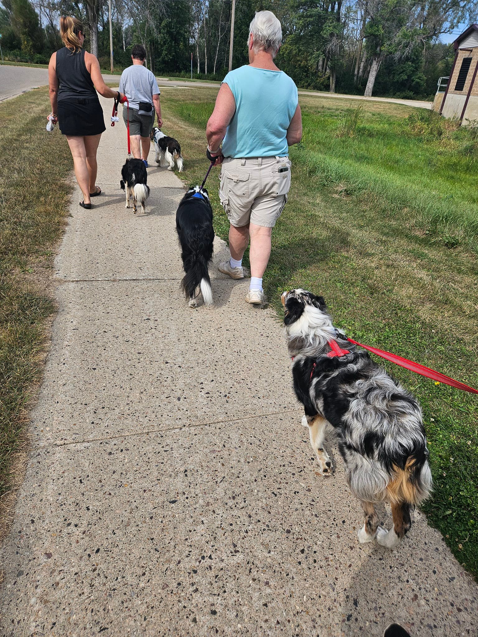 Ruff Pups | Reedsburg WI