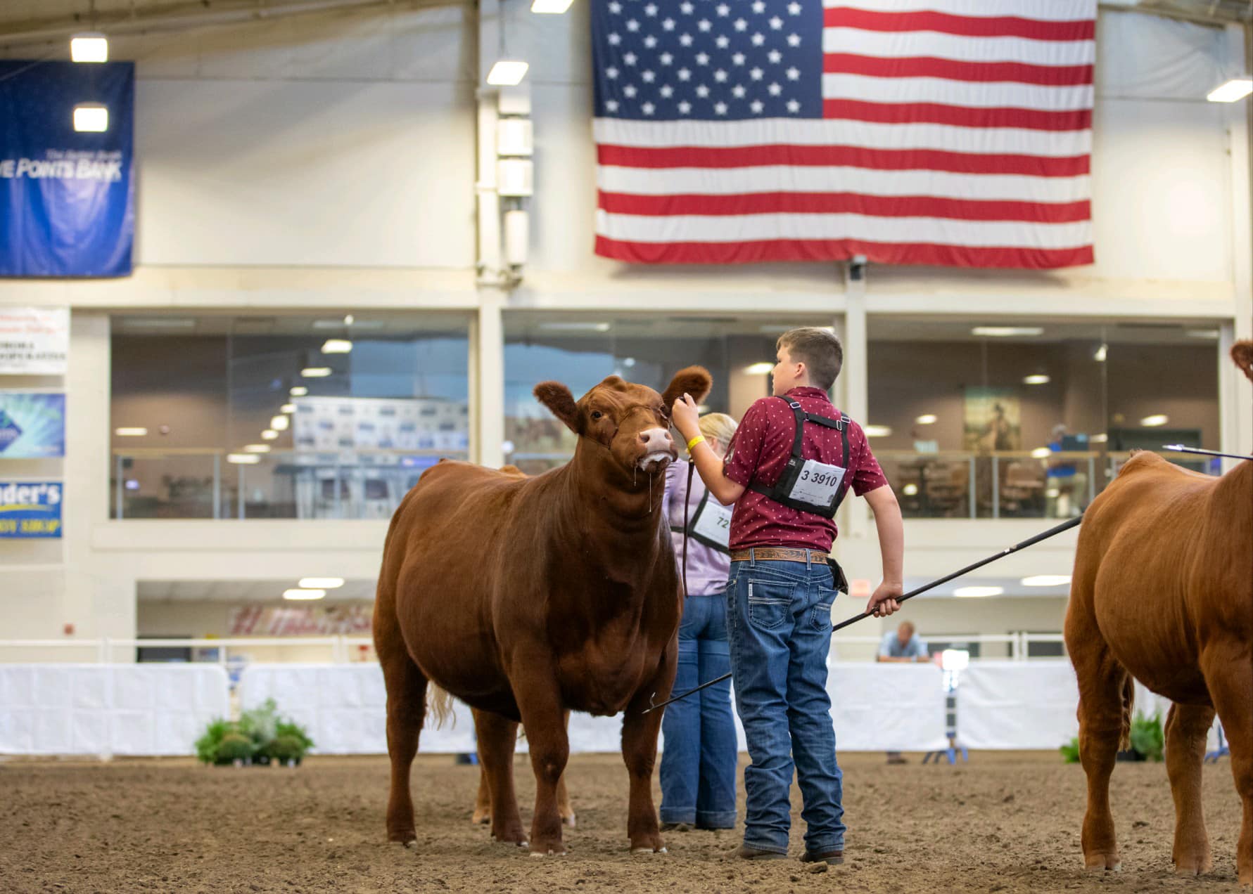 Rupp Ranch | Perry OK