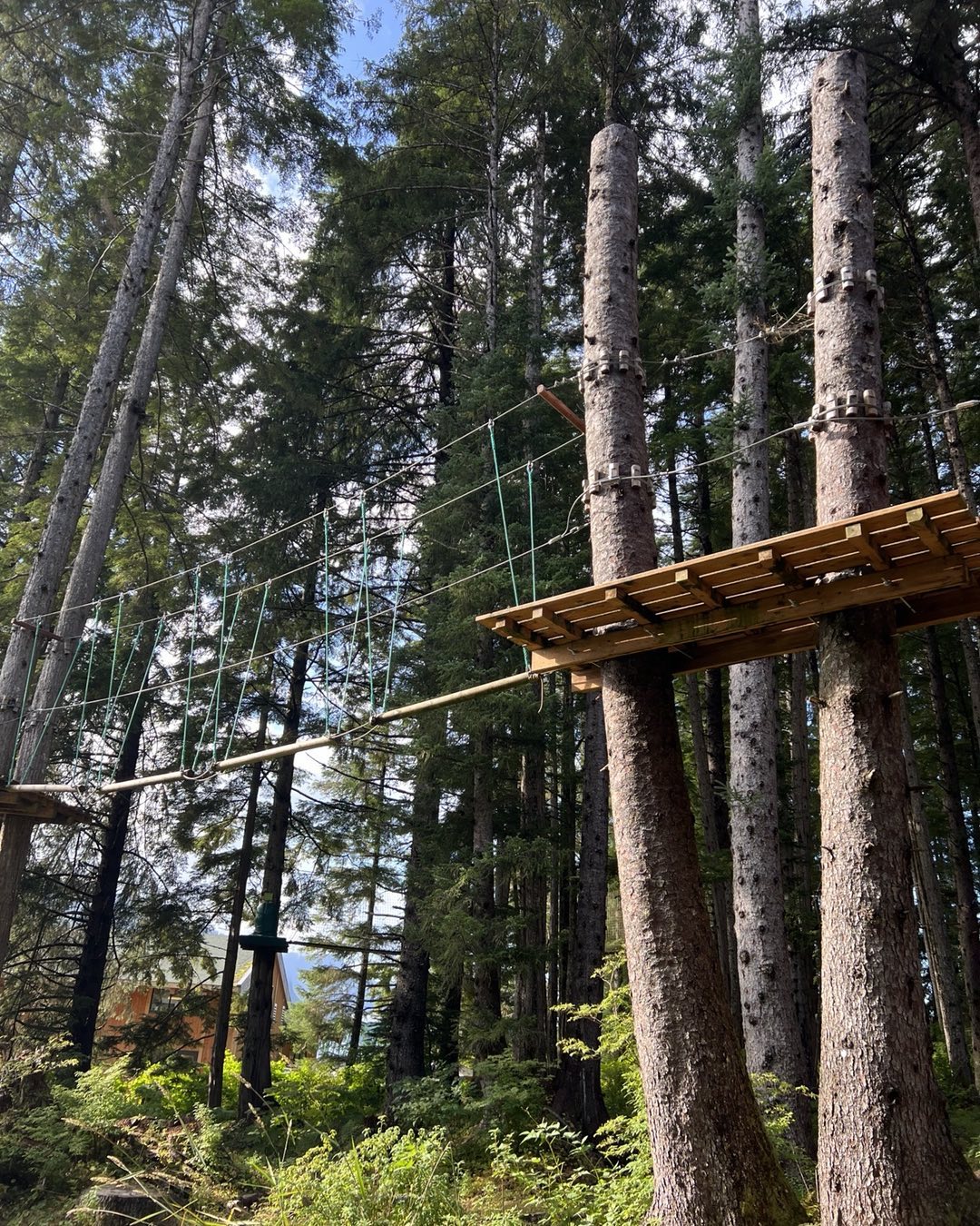 Judy Carmichael - A very cool obstacle course in the trees...