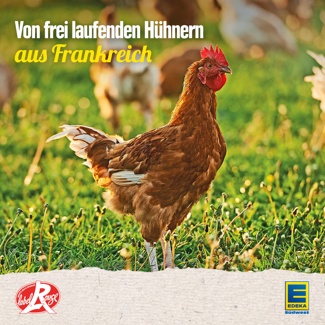 EDEKA - Ländliche Herkunft, bäuerliche Aufzucht und tiergerechte ...